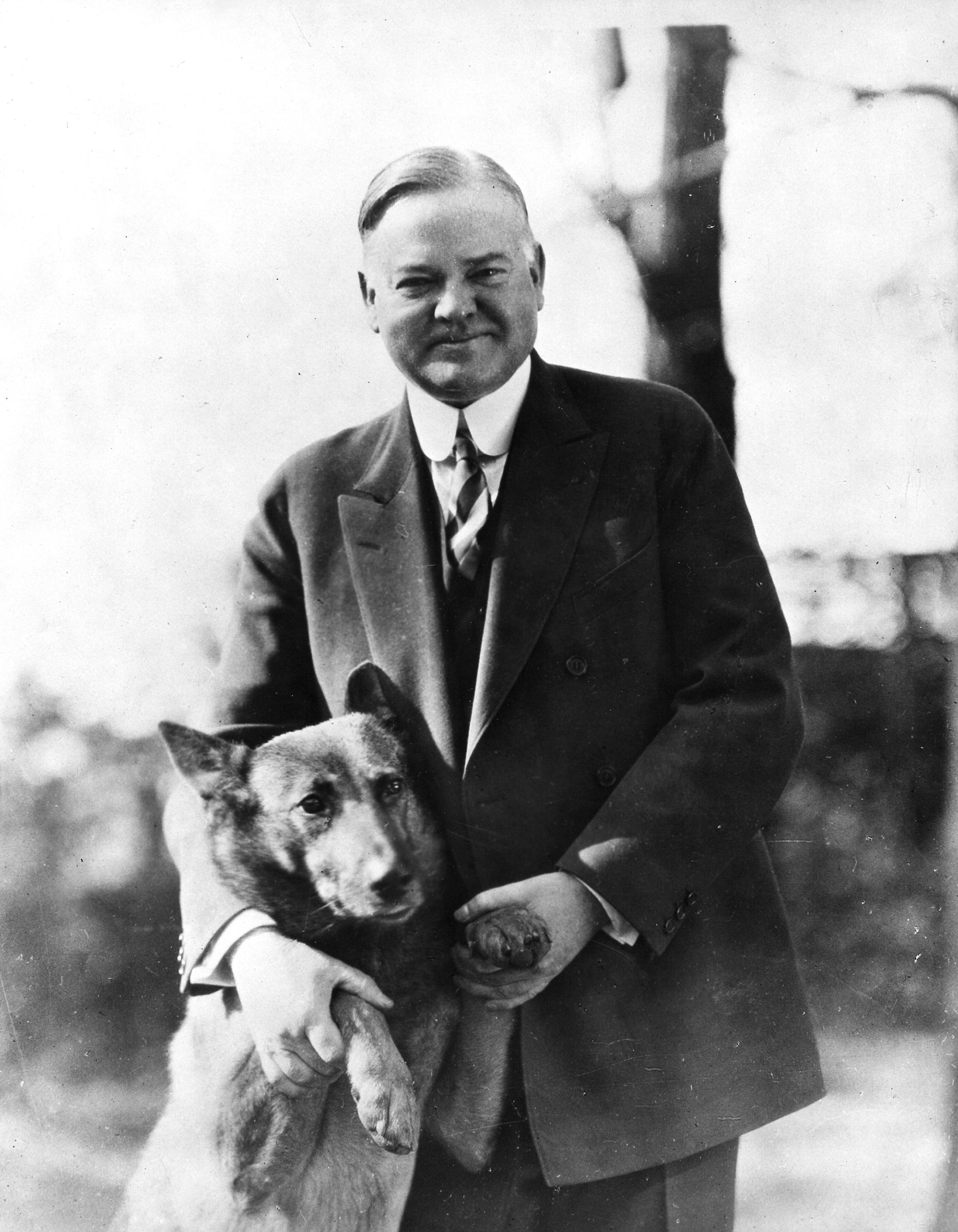 Herbert Hoover poses with his pet dog, King Tut, in the 1930s.