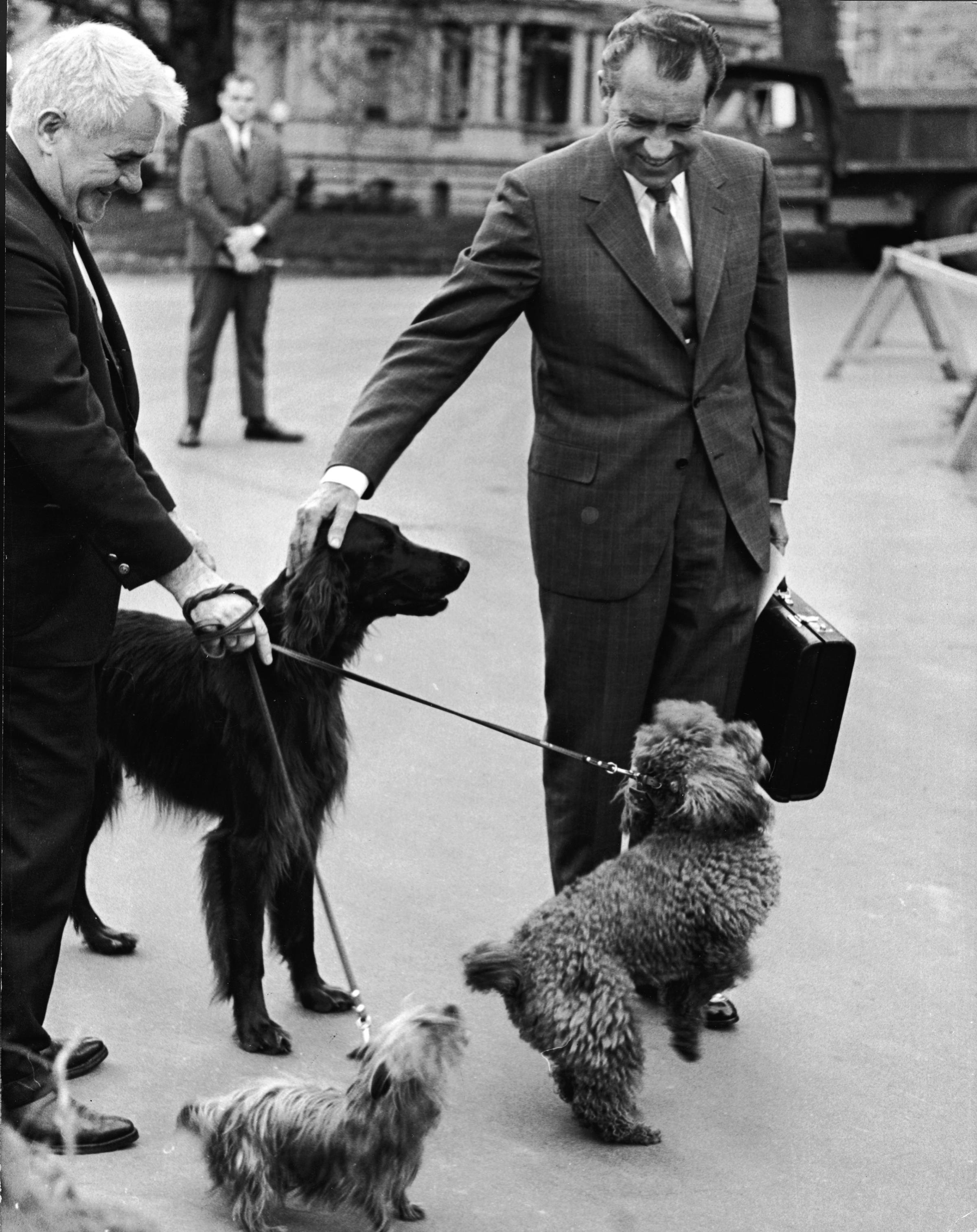 Richard M. Nixon pets his dogs, Irish Setter 'King Timahoe,' Yorkshire Terrier 'Pasha' and French Poodle 'Vicky,' outside the White House on April 30, 1970.