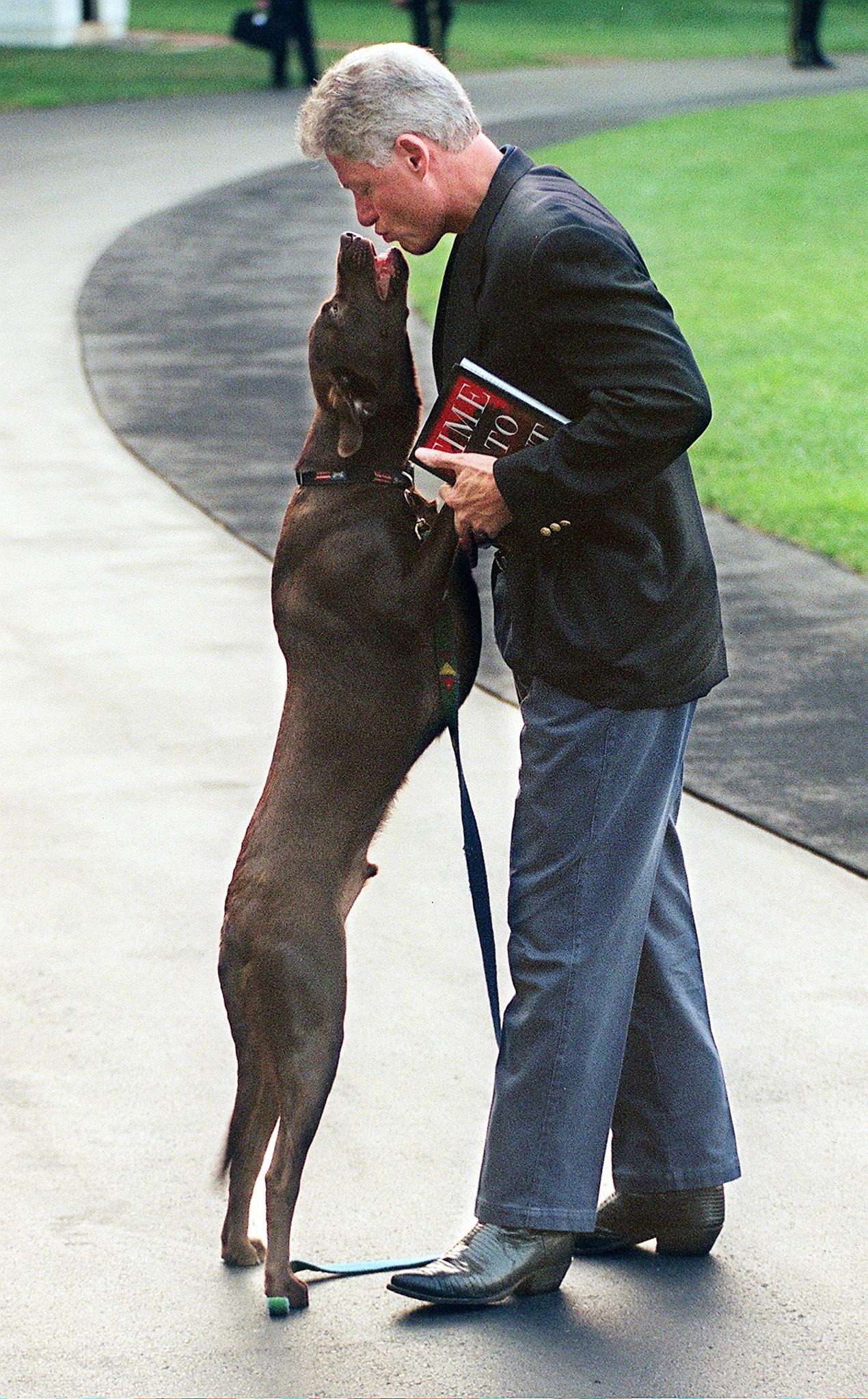Bill Clinton is greeted by his dog, Buddy, as he arrives at the White House, August 12, 1998.