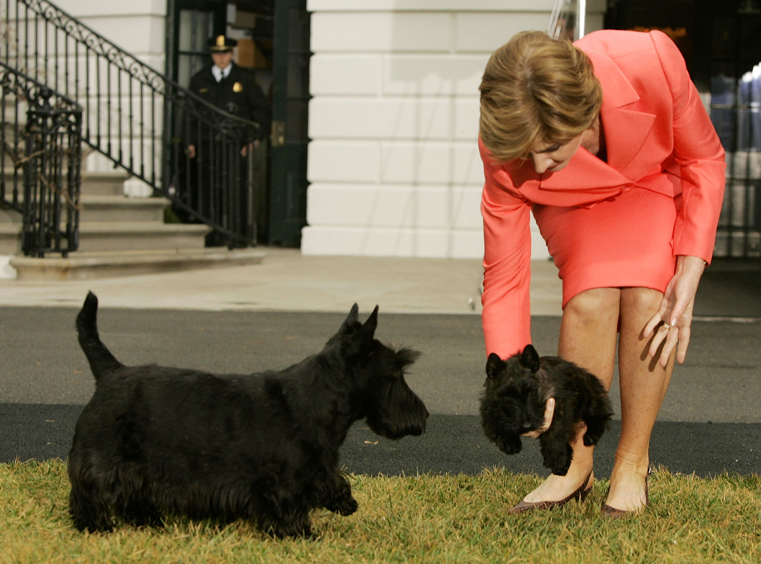 Presidential dog Barney prepares to acquaint himself with Miss Beazley, the Scottish Terrier pup given to First Lady, Laura Bush, as a birthday present by George W. Bush, during an event at the White House January 6, 2005. The dog was named for the character Uncle Beazley, a dinosaur in Oliver Butterworth's children's book,  The Enormous Egg.