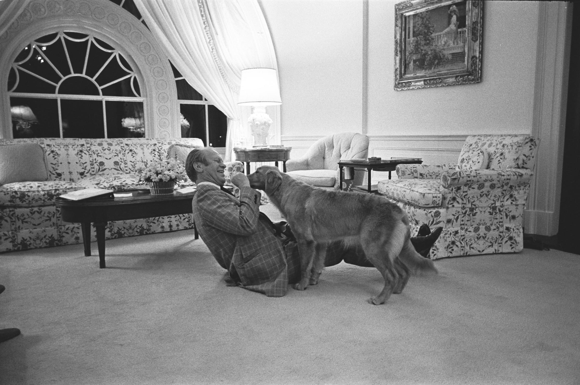 Gerald R. Ford wrestles with his new pet Golden Retriever, which the Fords named Liberty, in the second story family room of the White House Executive Residence on Feb. 2, 1975. Liberty was a gift from Ford's daughter, Susan, and his personal photographer, David Hume Kennerly.