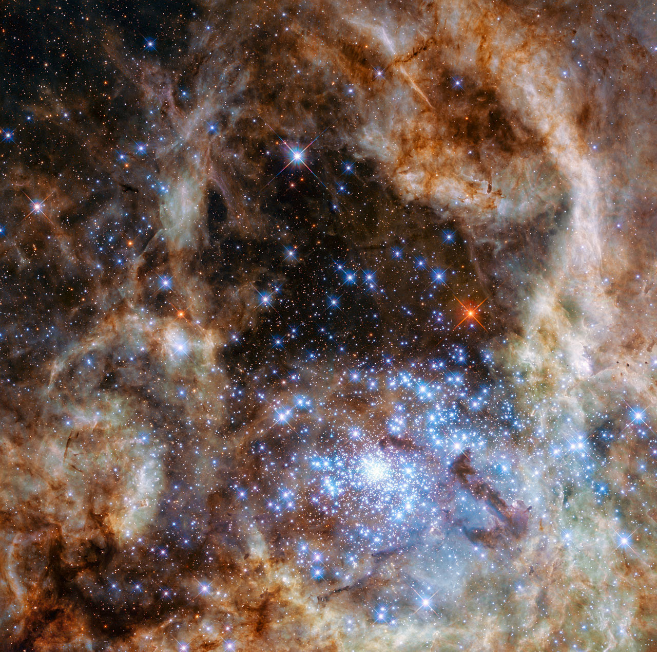 This Hubble image shows the central region of the Tarantula Nebula in the Large Magellanic Cloud. The young and dense star cluster R136 can be seen at the lower right of the image. This cluster contains hundreds of young blue stars, among them the most massive star detected in the universe so far. March 17, 2016.
