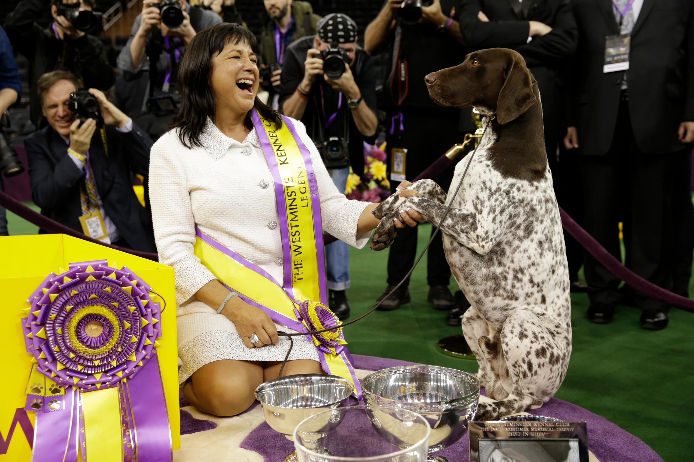 Valerie Nunes-Atkinson and CJ, a German shorthaired pointer, pose for photographers after CJ won best in show at the 140th Westminster Kennel Club dog show at Madison Square Garden in New York City, on Feb. 16, 2016.