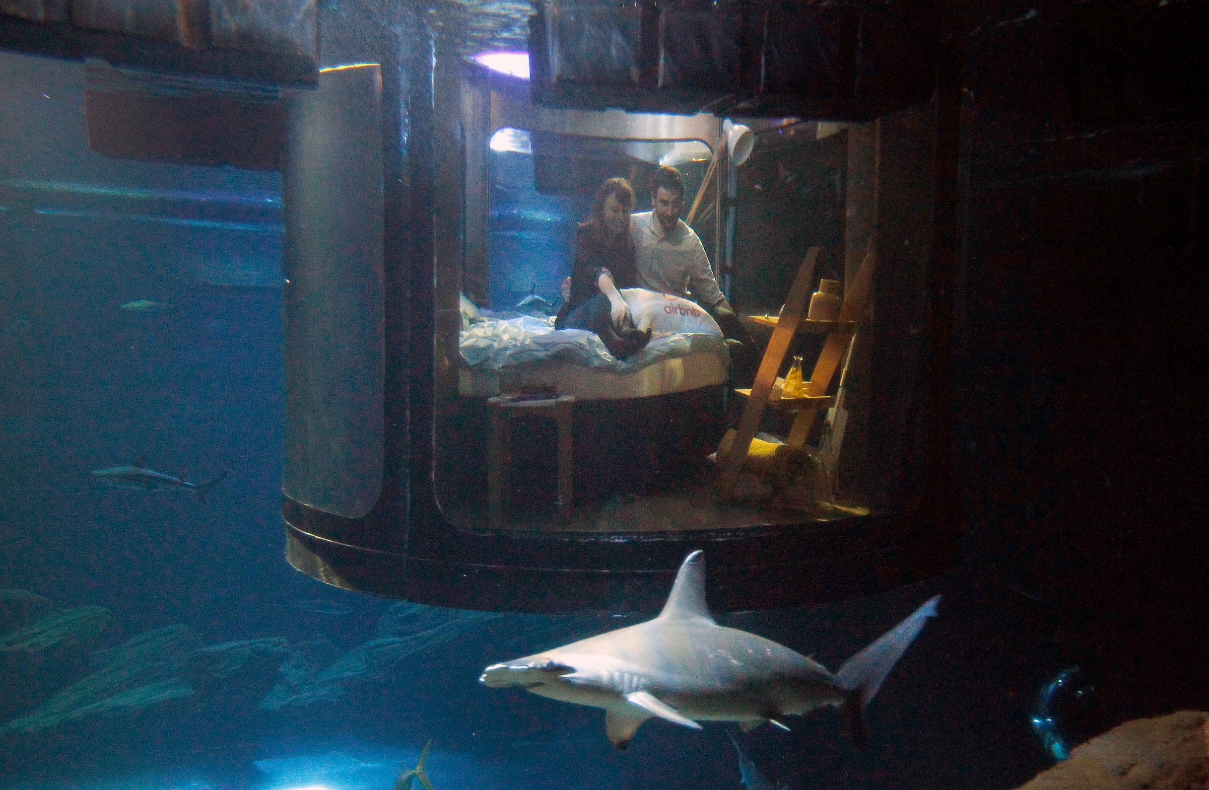 Alister Shipman from Britain, right, and Hannah Simpson from Northern Ireland, winners of a competition on the Airbnb accommodation site pose in a bed of an underwater room structure installed in the Aquarium of Paris, in Paris, on April 11, 2016.