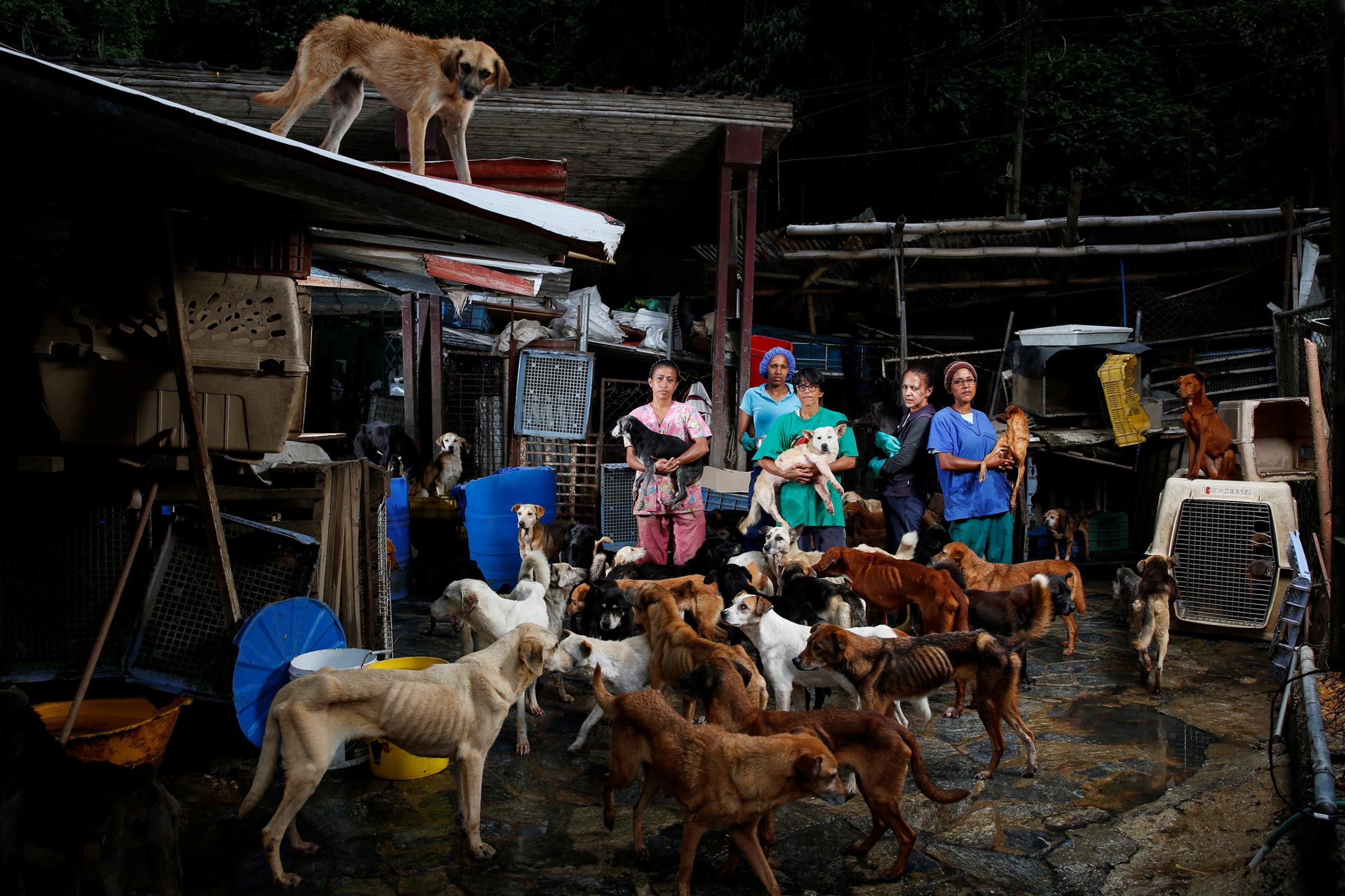Maria Silva, Milena Cortes, Maria Arteaga, Jackeline Bastidas and Gissy Abello pose for a picture at the Famproa dogs shelter where they work, in Los Teques, Venezuela, Aug. 25, 2016.