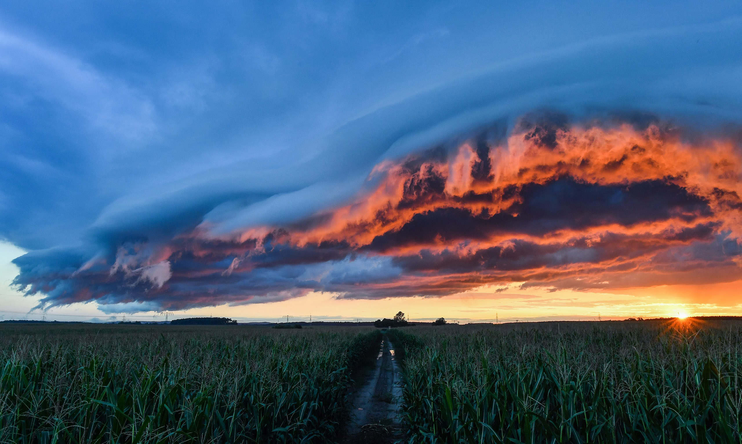 Storm clouds dramatically illuminated by the setting sun on a corn field in Petersdorf, Germany, Aug. 21, 2016.