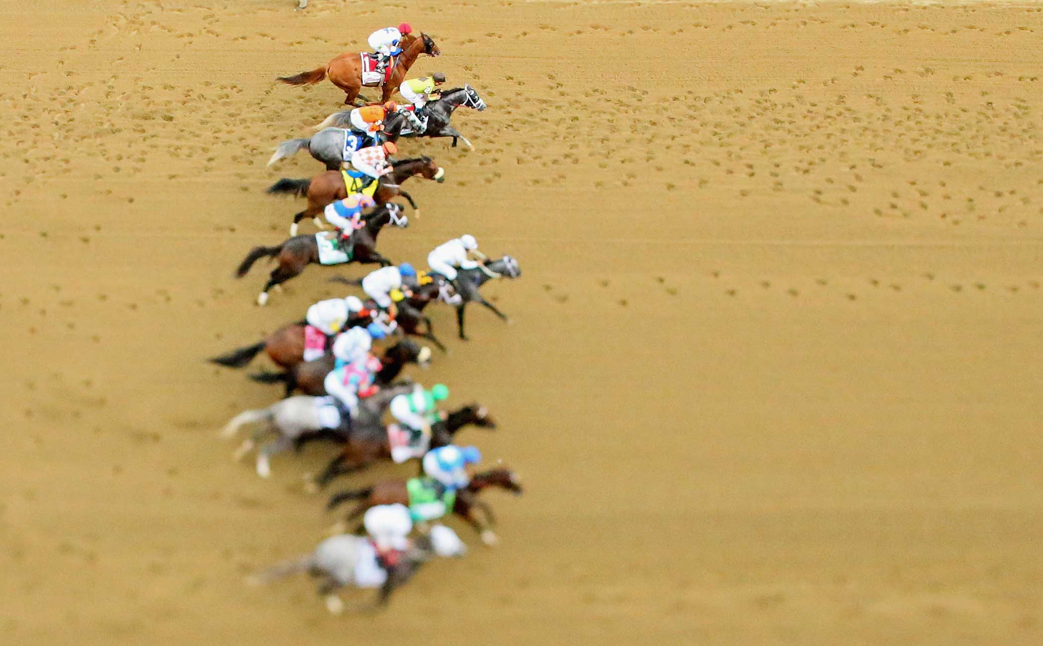 The field races at the start of The 148th running of the Belmont Stakes at Belmont Park on June 11, 2016 in Elmont, New York.