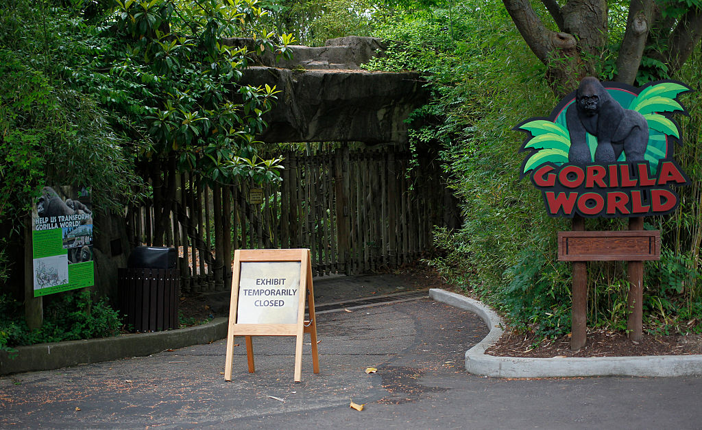 Visitors walk past the main entrance to the Cincinnati Zoo's Gorilla World exhibit days after a boy fell into the moat and officials were forced to kill Harambe, June 2, 2016 in Cincinnati, Ohio.
