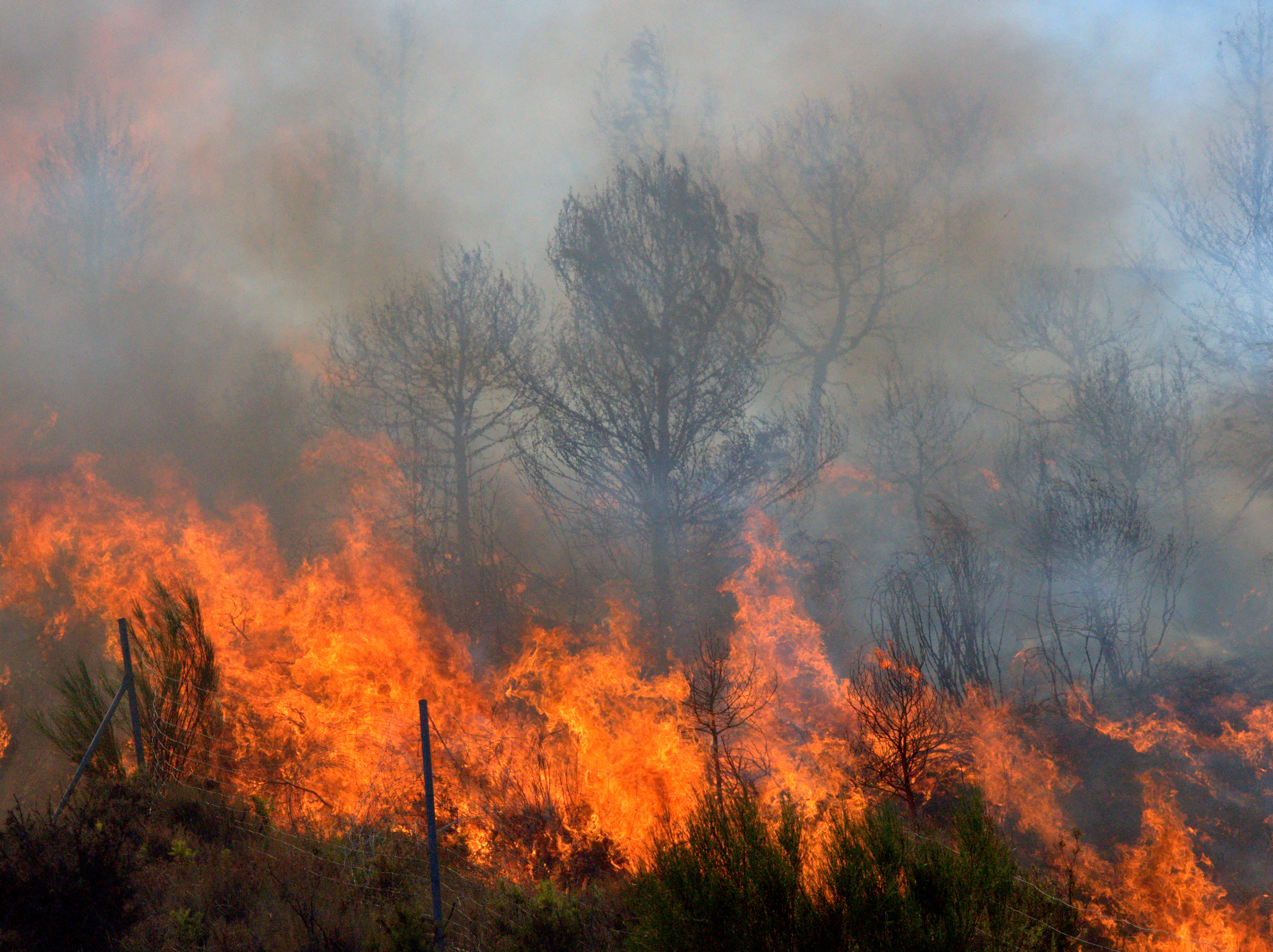 Fire in Mediterranean region (Miguel Sotomayor—Getty Images)