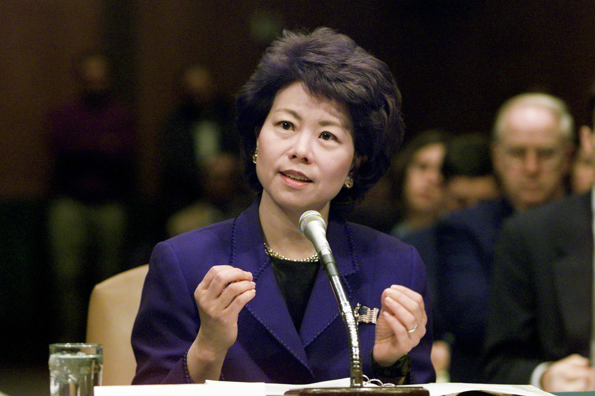 Elaine Chao testifies at hearing of the Senate Health, Education, Labor and Pensions Committee on her confirmation as labor secretary, circa 2000.