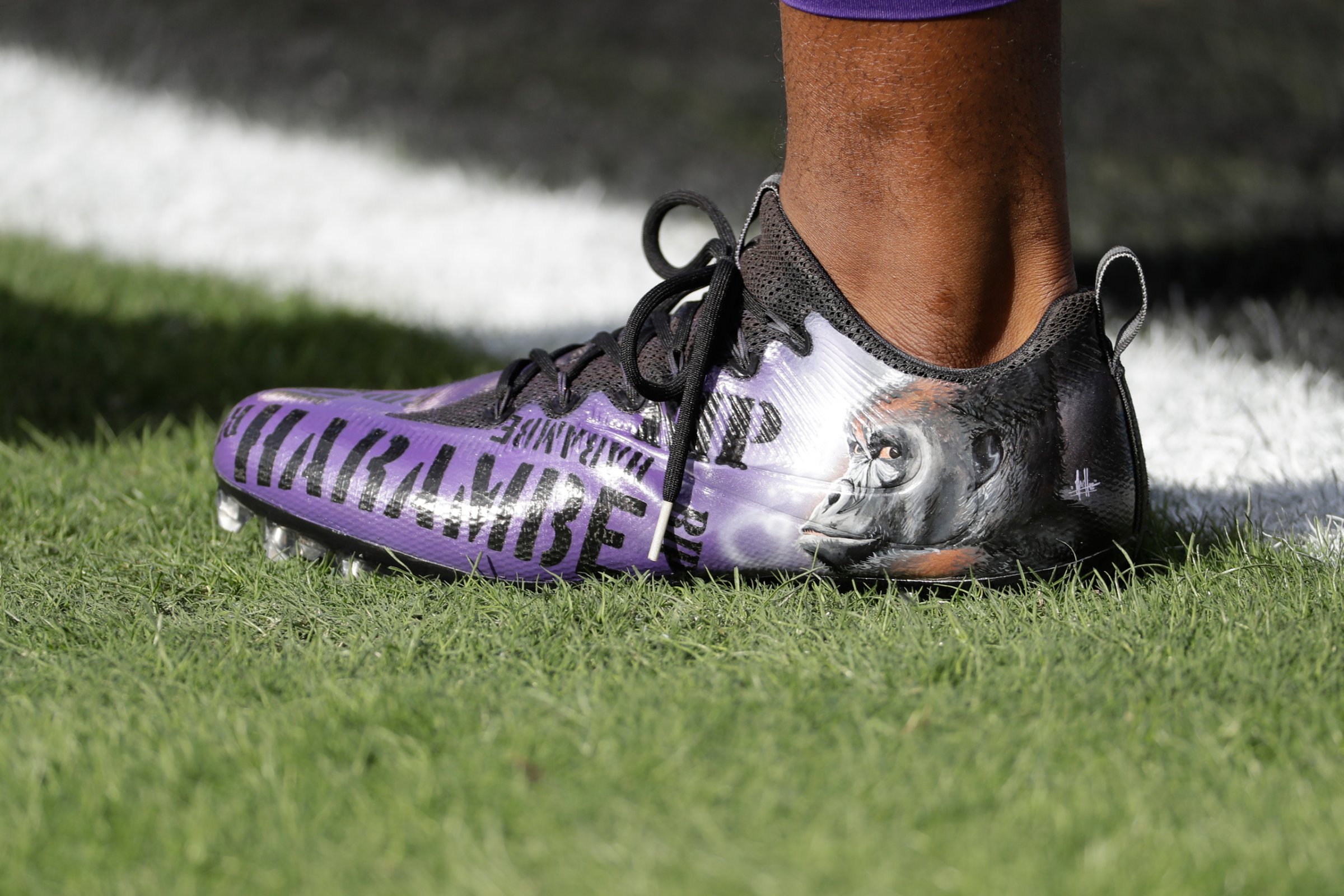 Minnesota Vikings' Jerick McKinnon wears cleats with images of Harambe during warm ups before an NFL football game against the Philadelphia Eagles, Sunday, Oct. 23, 2016, in Philadelphia. (AP Photo/Chris Szagola)