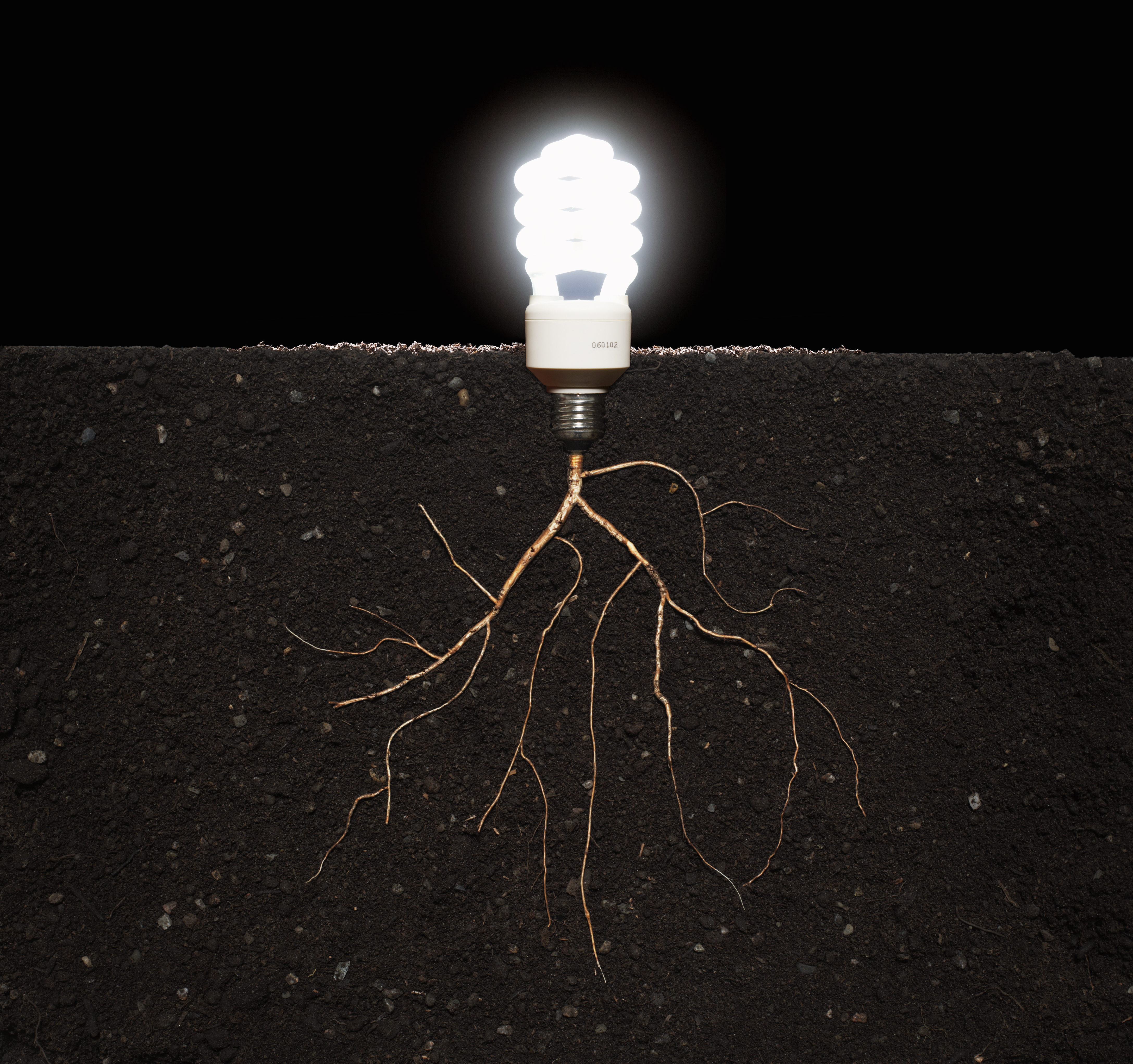 Energy efficient lightbulb growing from plant roots in soil, close-up