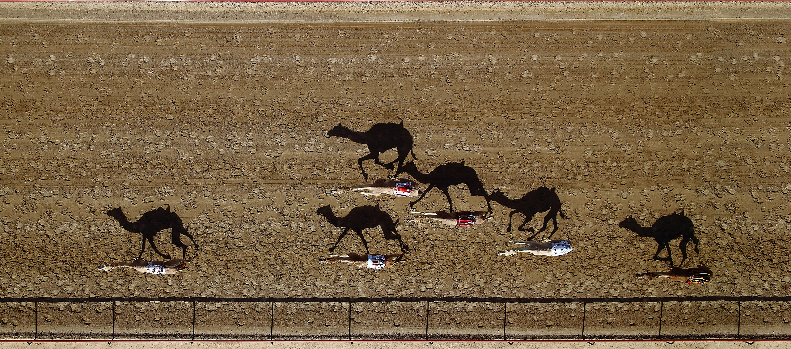 Al Marmoum Camel Racetrack, Dubai, United Arab Emirates