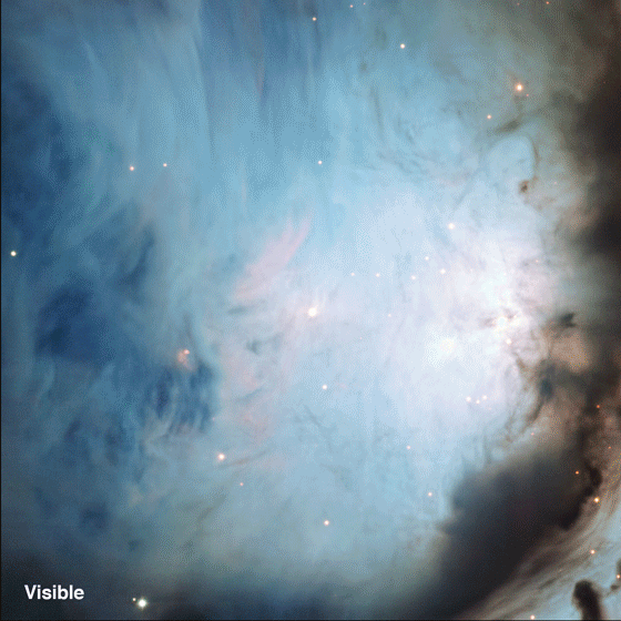 This comparison gif shows how differently parts of a rich star-forming complex in Orion appear at different wavelengths. (Igor Chekalin—ESO; Gif by Marisa Gertz for TIME)