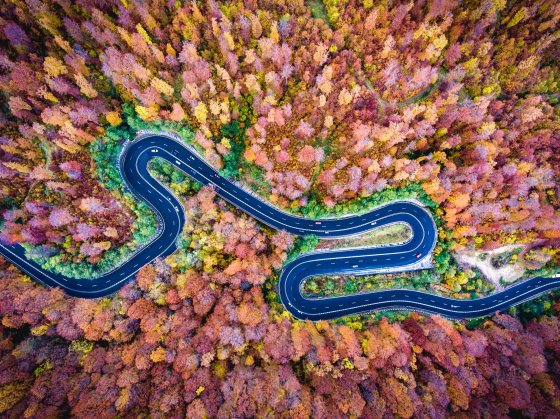 Aerial drone view of a curved winding road through the forest hi