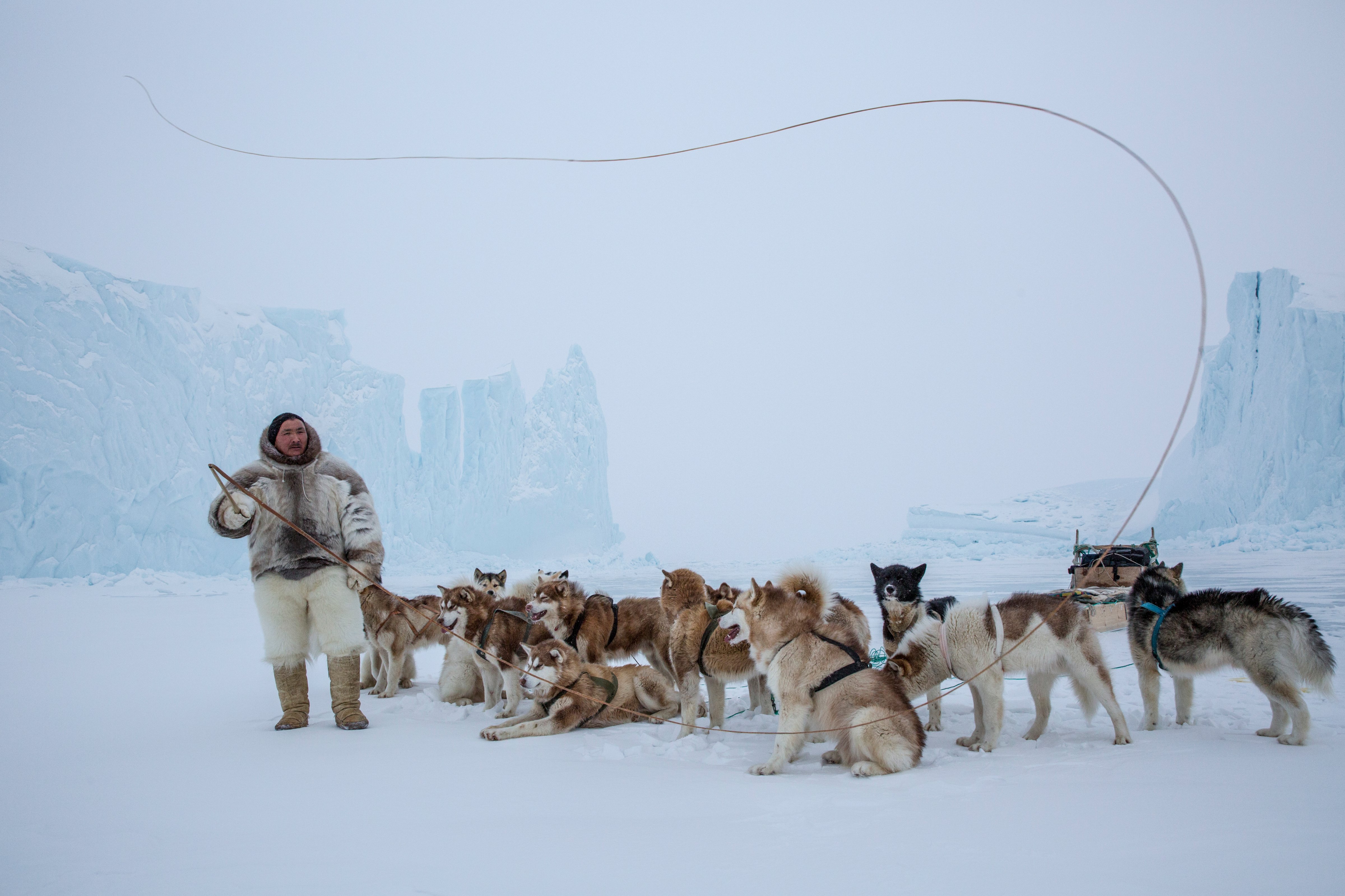 Inuit hunter, Naimanngitsoq Kristiansen, with his dog team, Qaanaaq (Cristina Mittermeier)