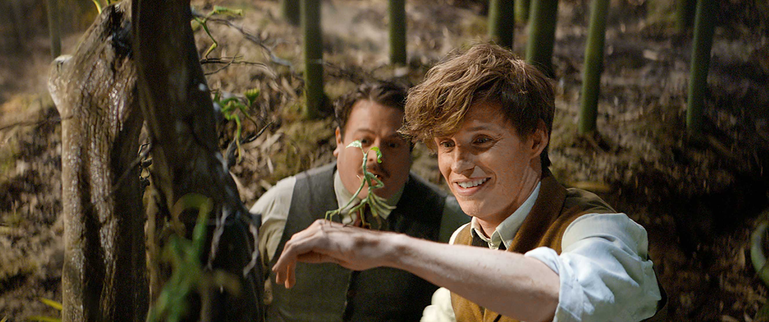 DAN FOGLER as Jacob, EDDIE REDMAYNE as Newt and a beast called a Bowtruckle in Warner Bros. Pictures’ fantasy adventure “FANTASTIC BEASTS AND WHERE TO FIND THEM” (Warner Bros)