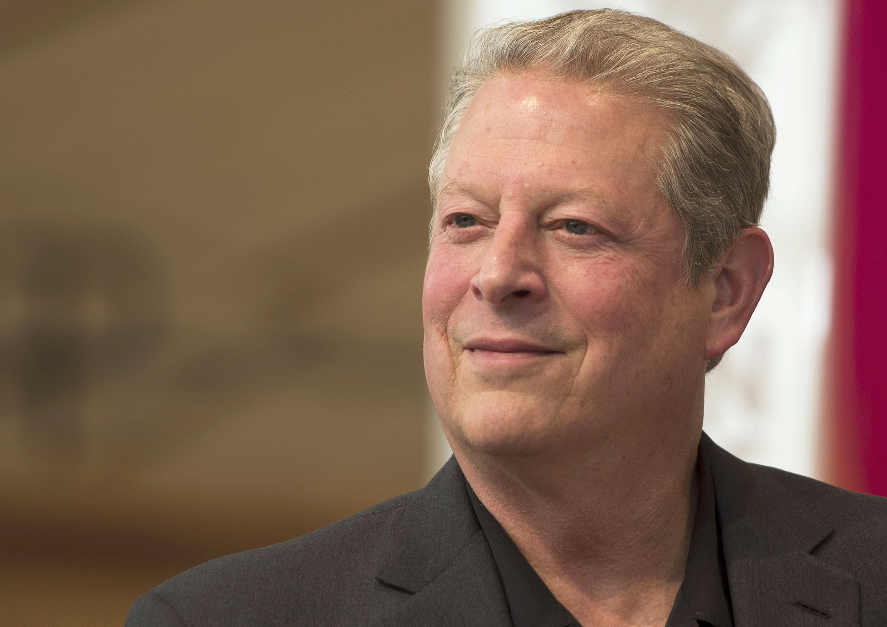 Al Gore speaks at  Afternoon of Conversation during the 2014 Aspen Ideas Festival at the Aspen Institute on June 30, 2014 in Aspen, Colorado. Leigh Vogel&mdash;Getty Images (Leigh Vogel&mdash;Getty Images)