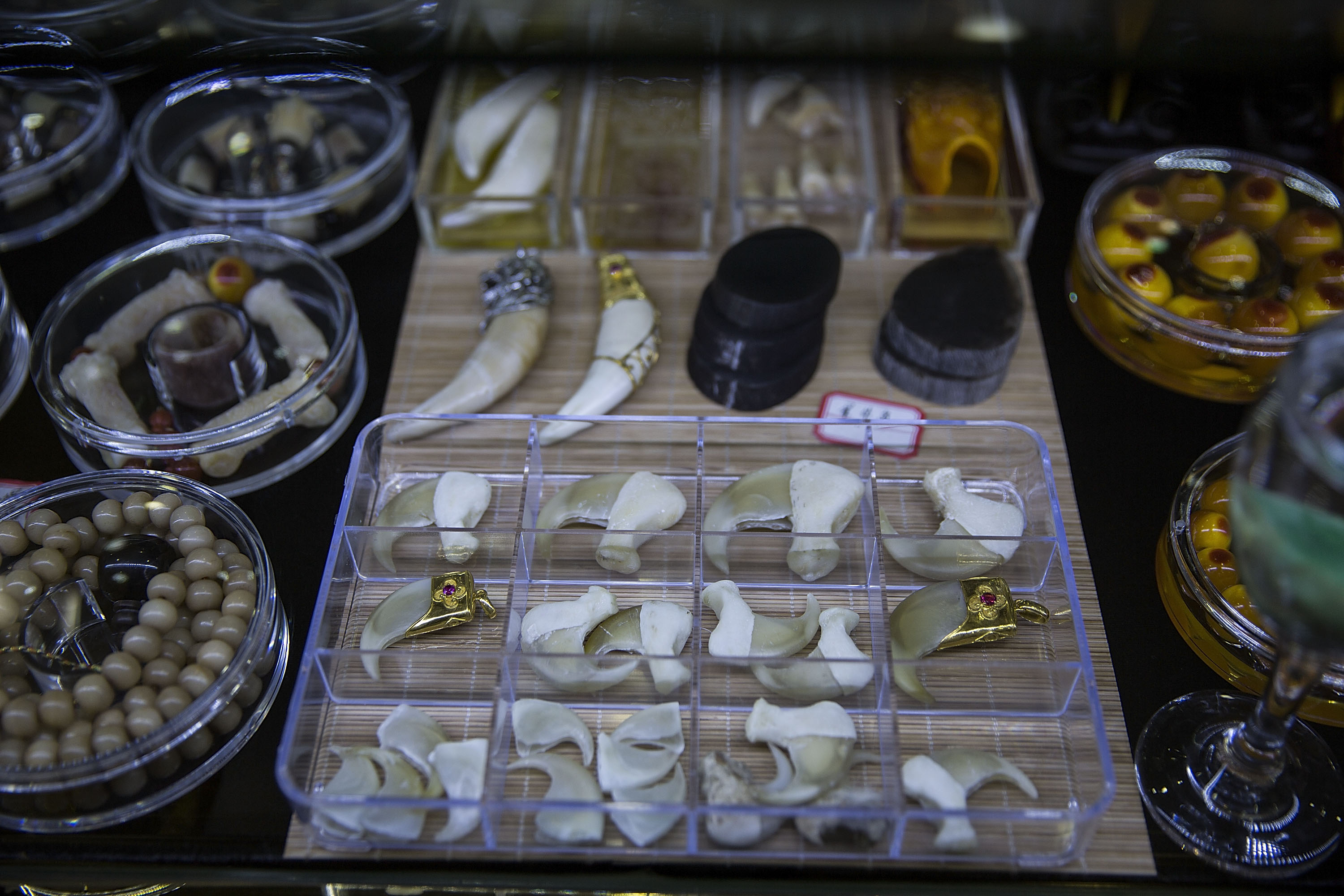 Tiger claws and teeth are sold at a high-end shop on Feb. 16, 2016, in Mong La, Burma (Taylor Weidman—Getty Images)