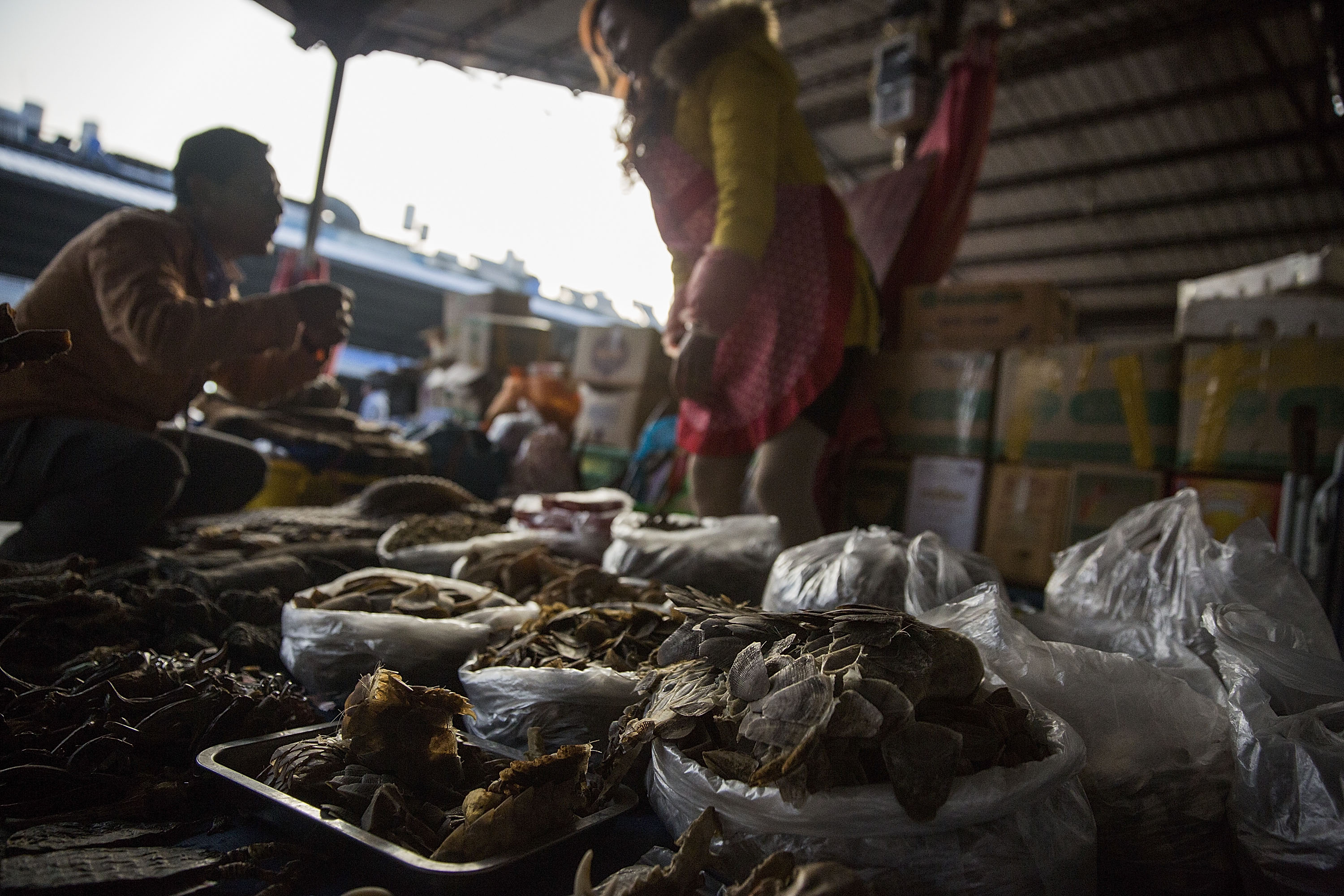 A woman talks with a customer at her stall selling pangolin scales and other exotic-animal parts on Feb. 17, 2016, in Mong La, Burma (Taylor Weidman—Getty Images)
