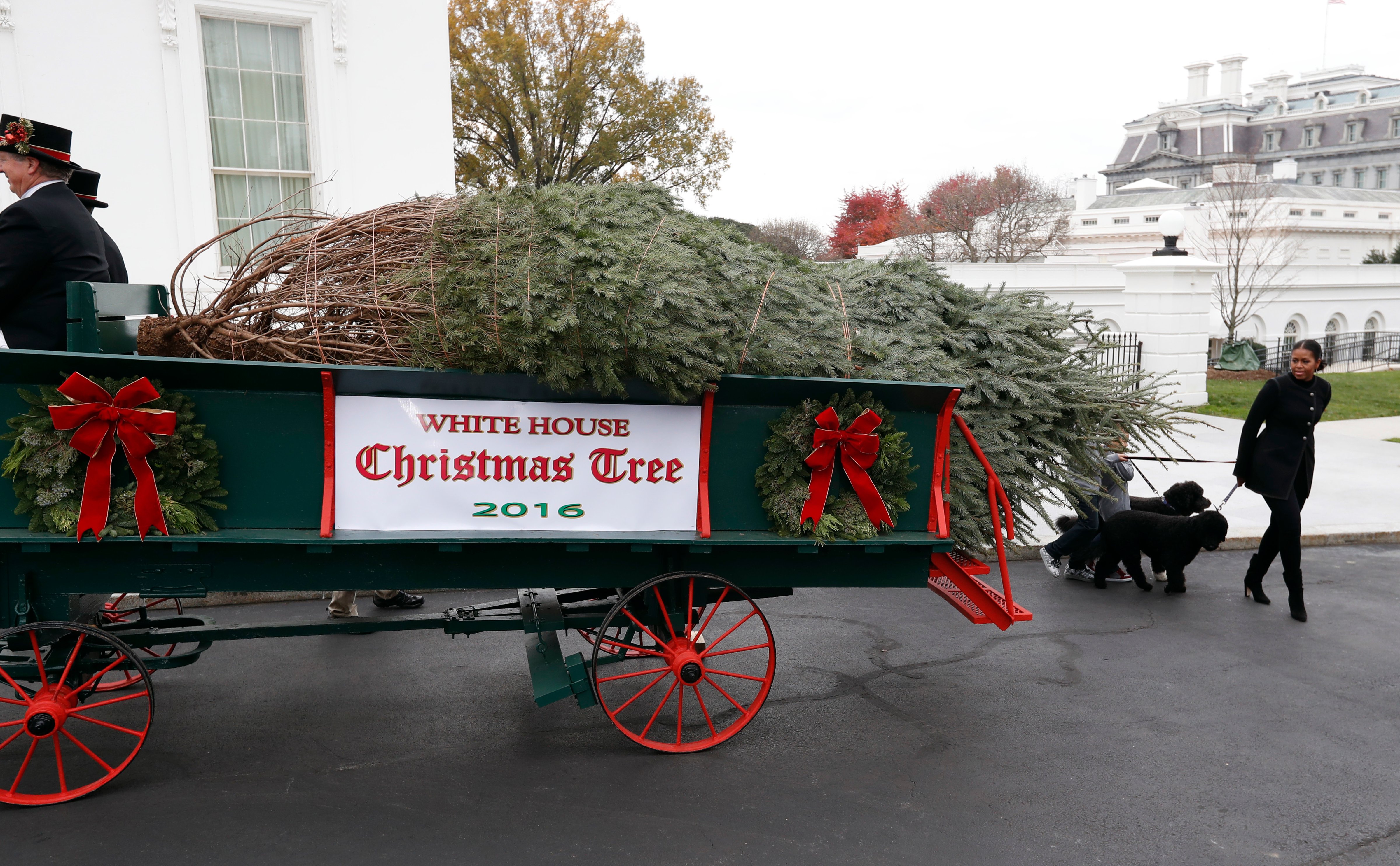First lady Michelle Obama walks with dogs Sunny and Bo, as she receives the official White House Christmas tree at the White House on Nov. 25, 2016. (Alex Brandon—AP)