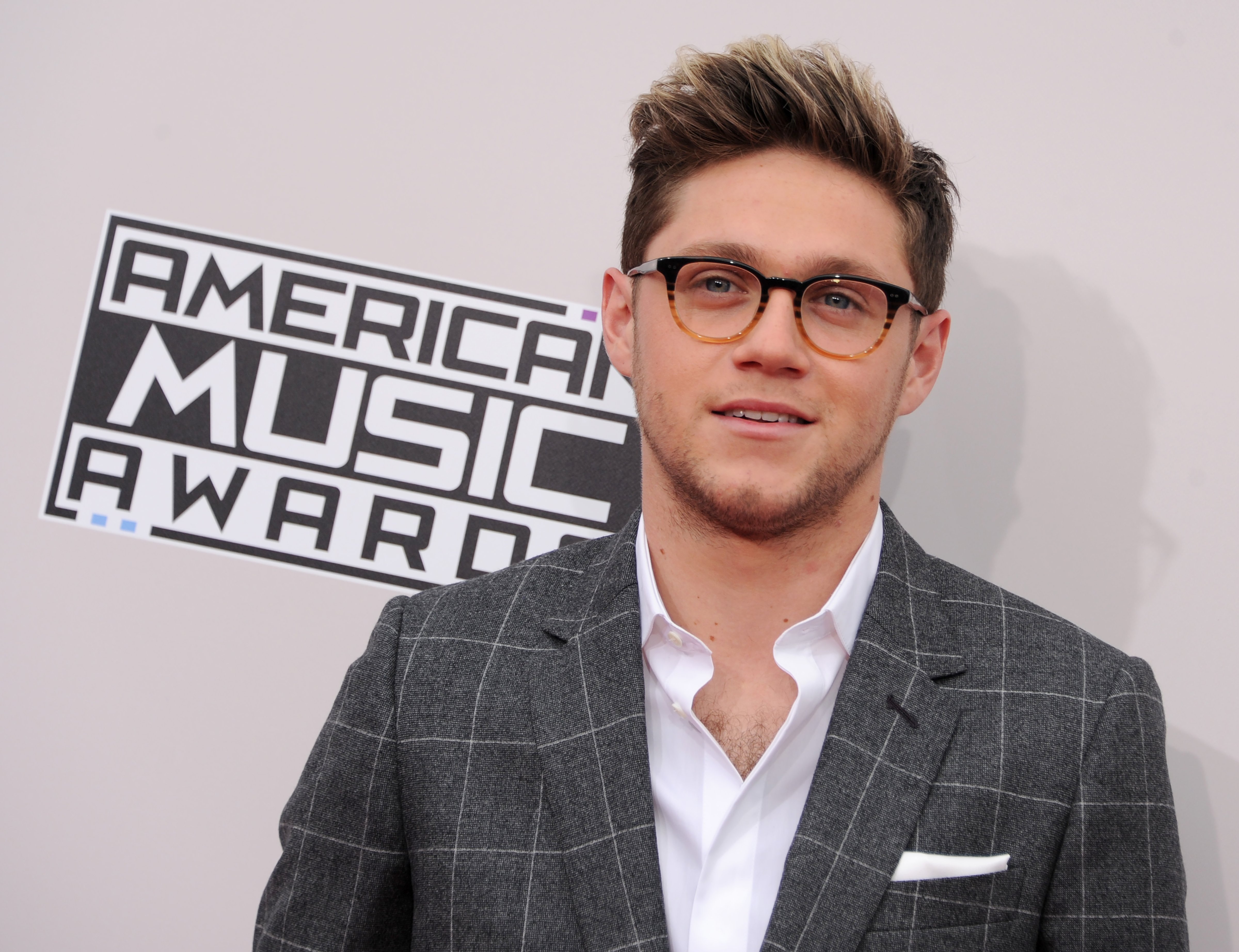 Niall Horan arrives at the 2016 American Music Awards at Microsoft Theater on November 20, 2016. (Gregg DeGuire&mdash;Getty Images)
