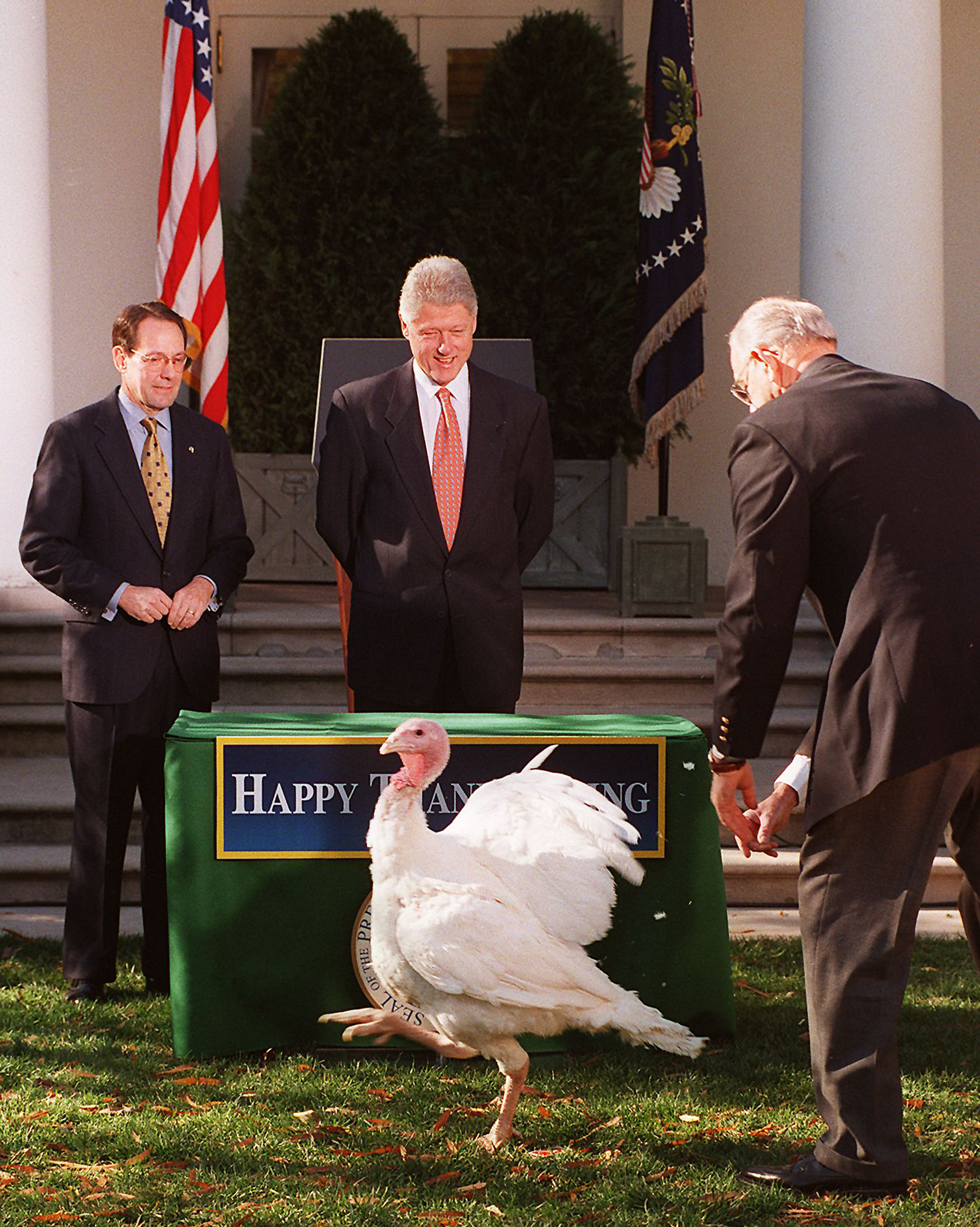 President Bill Clinton and National Turkey Federation President Stuart Proctor watch as turkey handler Walter Gislason tries to catch the annual White House turkey  Jerry,  who was pardoned from his role in Thanksgiving dinner by the President at the White House on Nov. 24, 1998.
