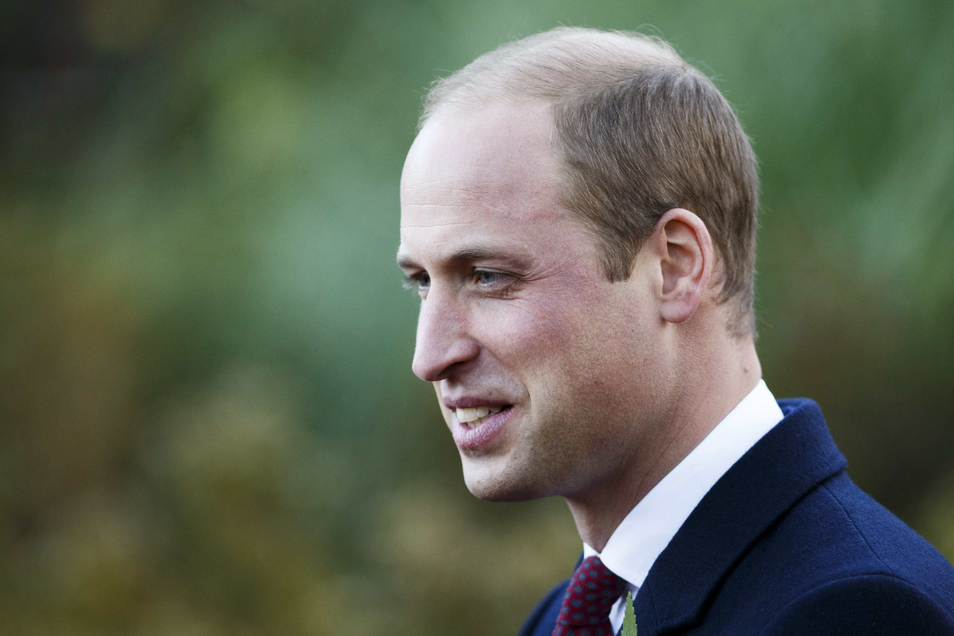 Prince William visits the Kensington Memorial Park on Nov. 10, 2016 in London. (Tristan Fewings—Getty Images)