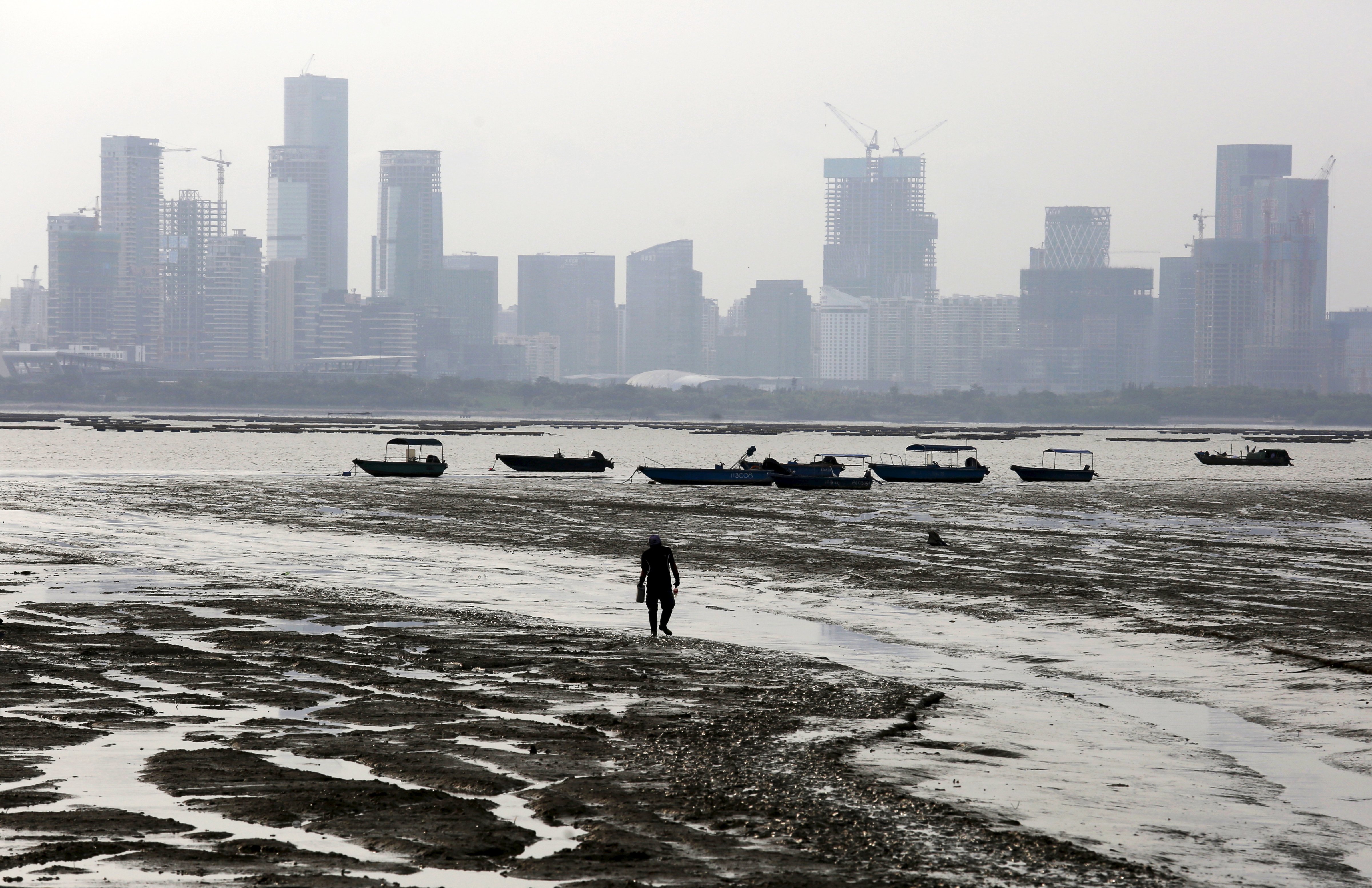 A man walks during low tide at Lau Fau Shan, famous for its oyster culture, in Hong Kong's rural New Territories on July 3, 2015. The fast developing city of Shenzhen on mainland China is seen in the background (Bobby Yip—Reuters)