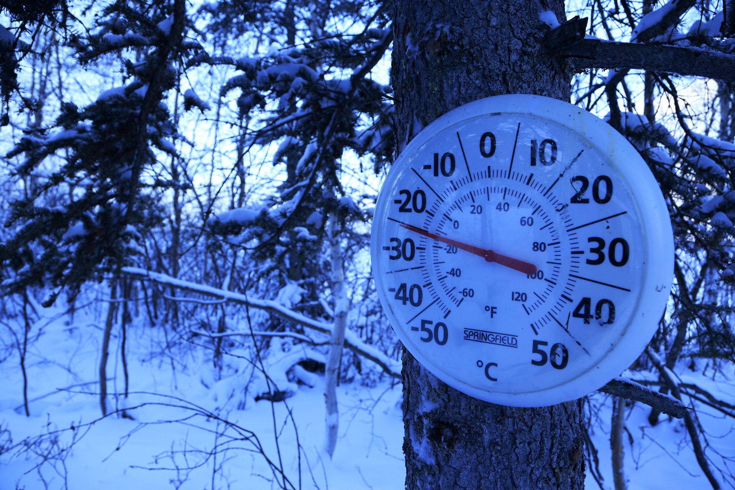 A thermometer showing winter temperature