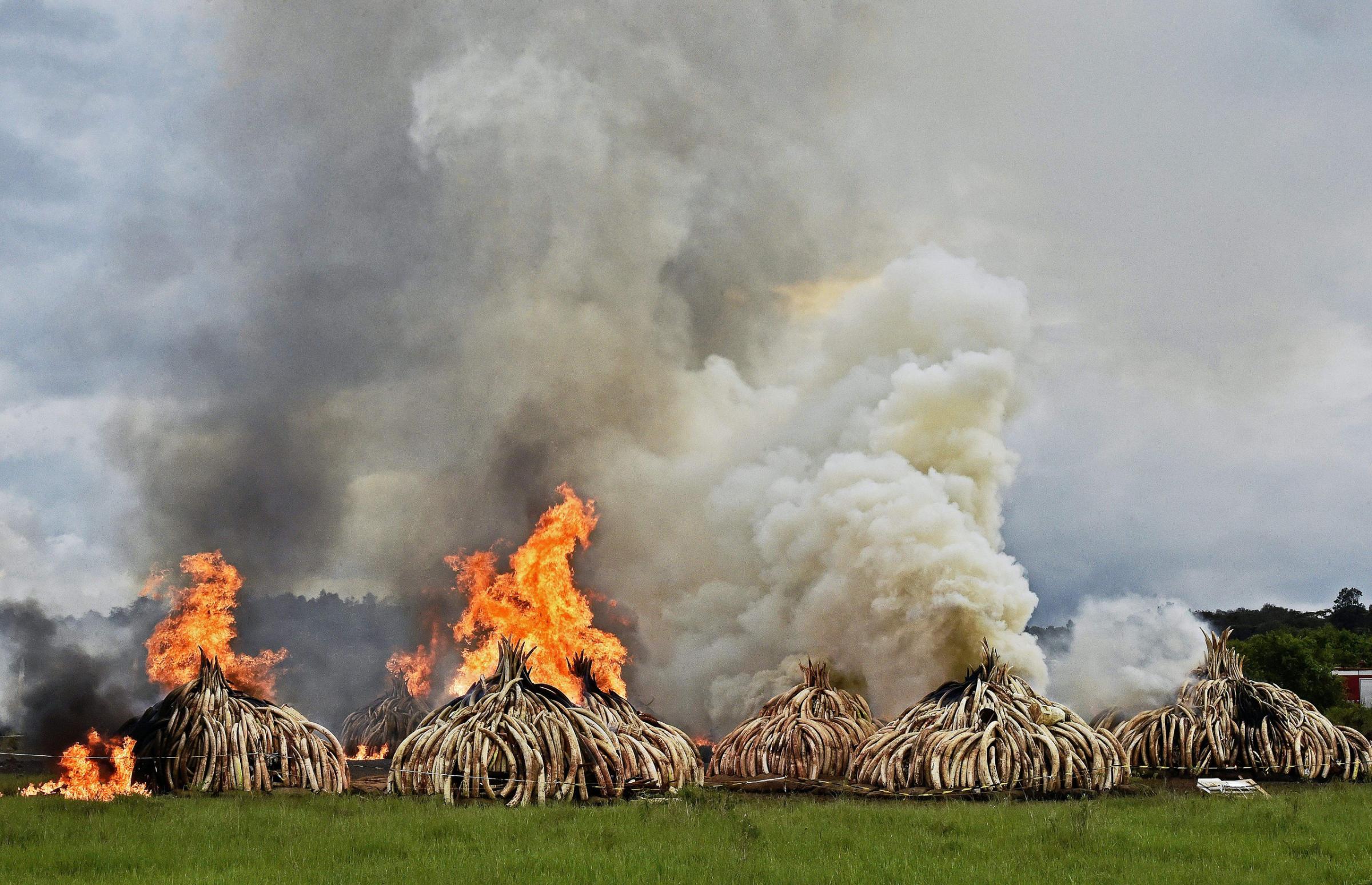 KENYA-IVORY-WILDLIFE-FIRE