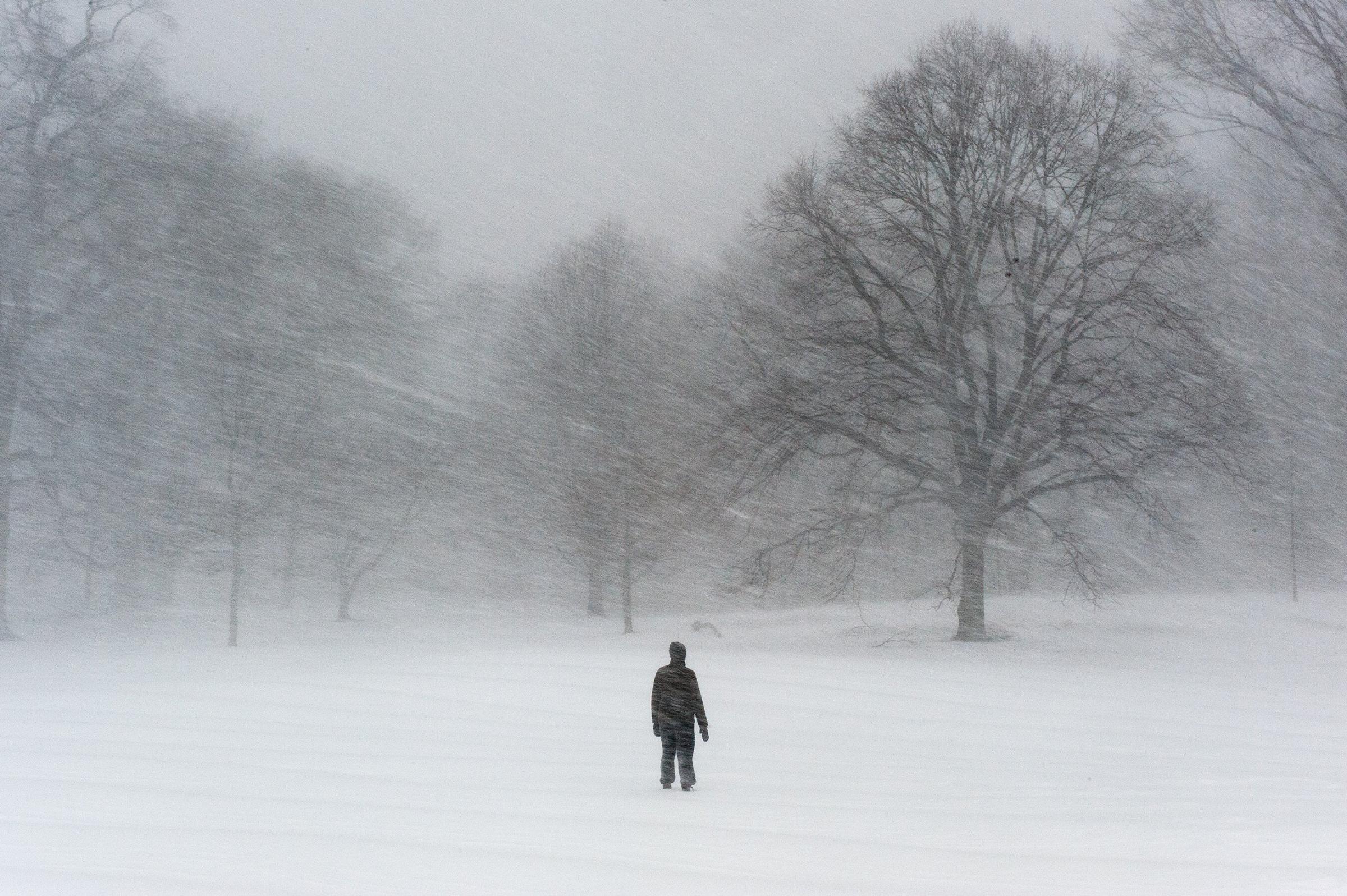 Braving the snow at Prospect Park in New York.