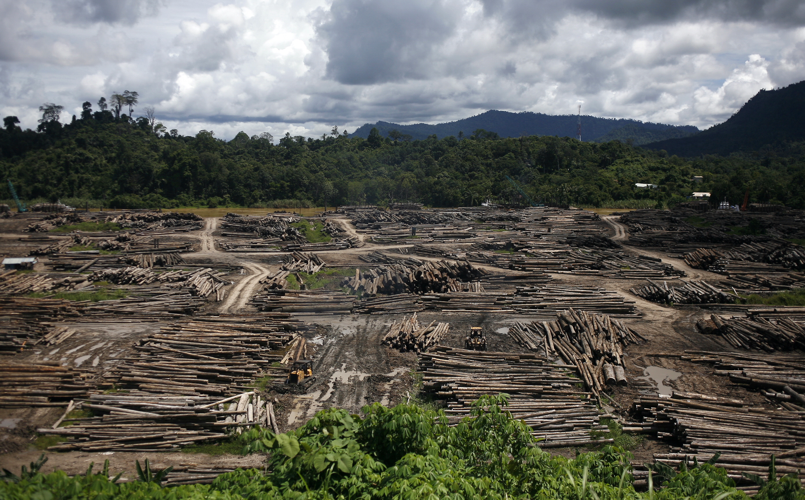 A view of a timber depot in the upper Baram region of Malaysia's eastern Sarawak state on July 20, 2010 (Rahman Roslan—AFP/Getty Images)