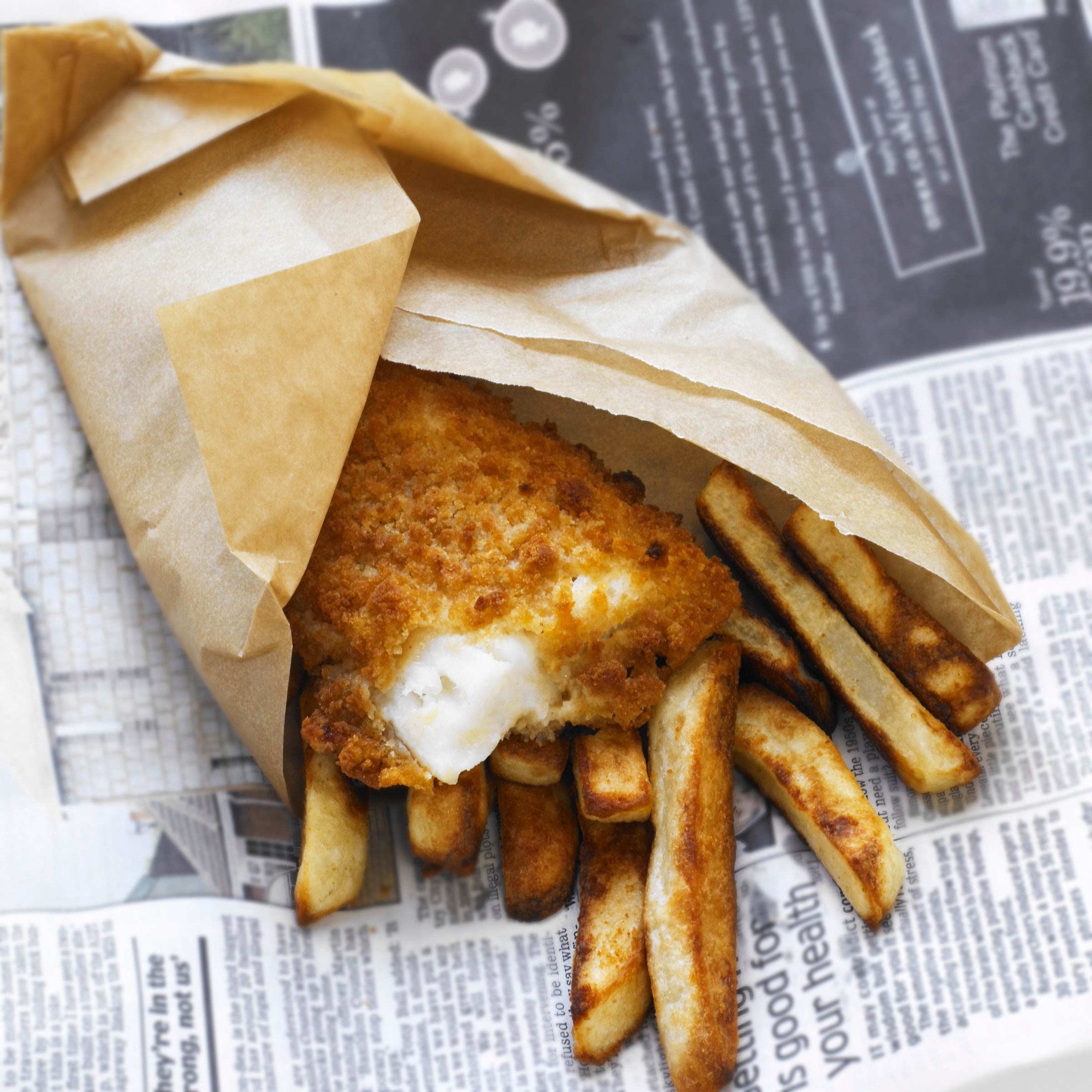 The discovery of increased numbers of squid in the North Sea could affect the British fish and chip industry.
