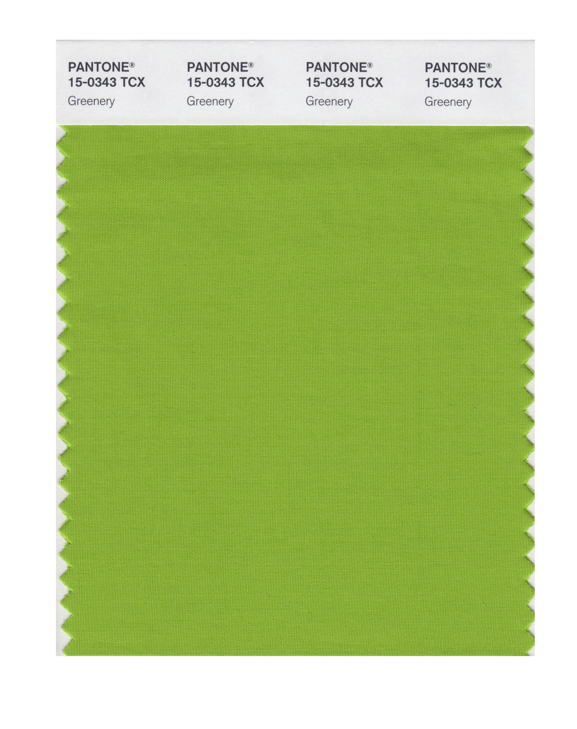 This image released by Pantone shows a color swatch called "greenery", which has been named as the color of the year for 2017 by the Pantone Color Institute. (Pantone/AP)