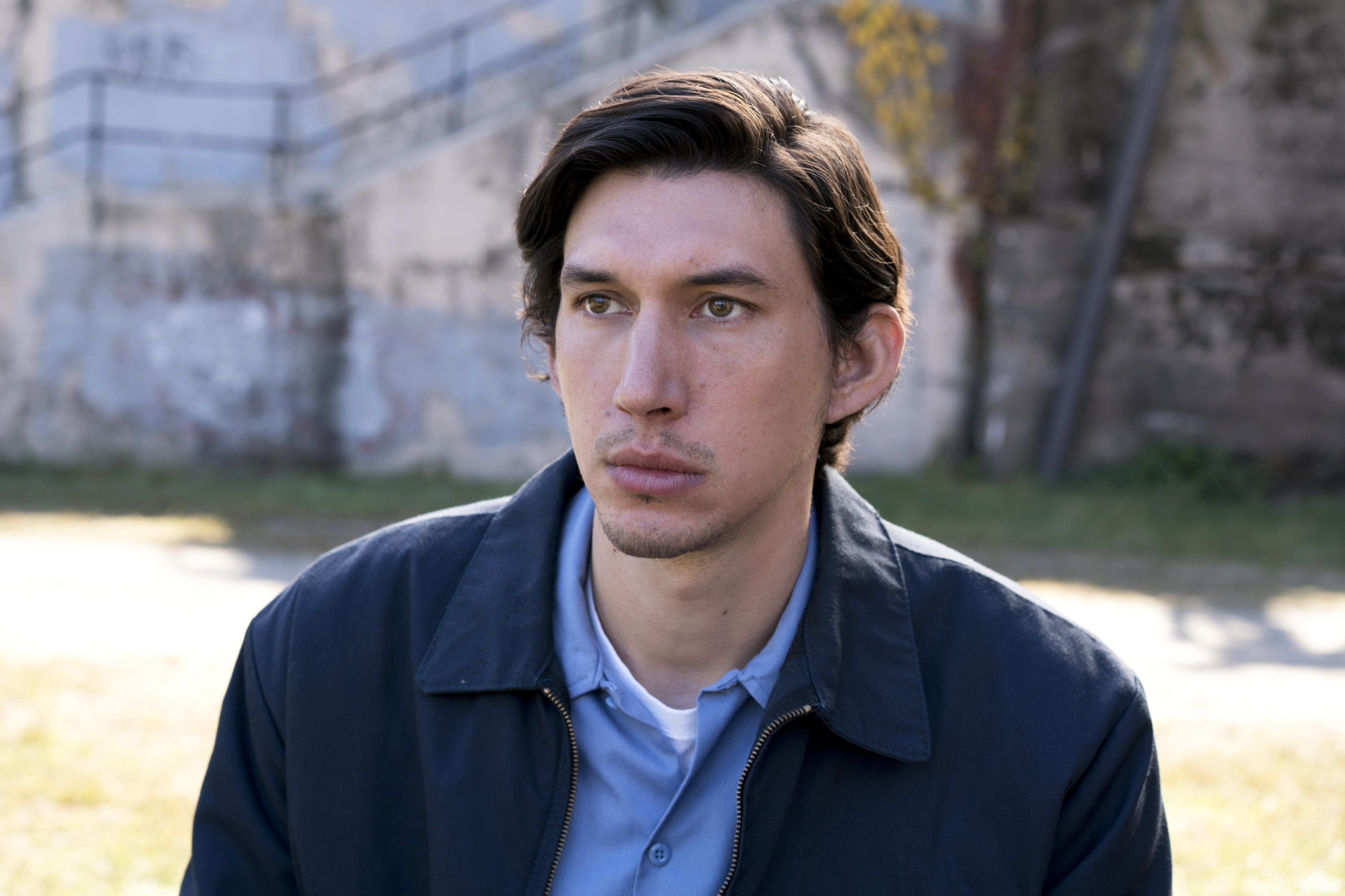 8. Paterson(Paterson): This is one of Adam Driver's best performances in his career. It is a meditative and reflective film. Consequently, Driver does full justice to the movie with the stillness and thoughtfulness he portrays onscreen.