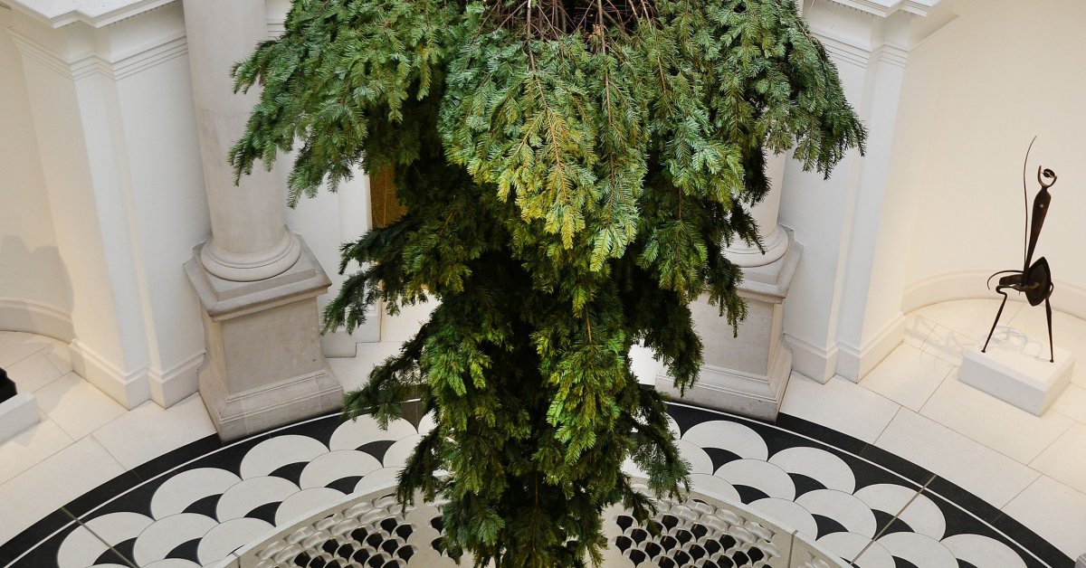 Tate Britain’s Upside-Down Christmas Tree First Look: Photo | Time