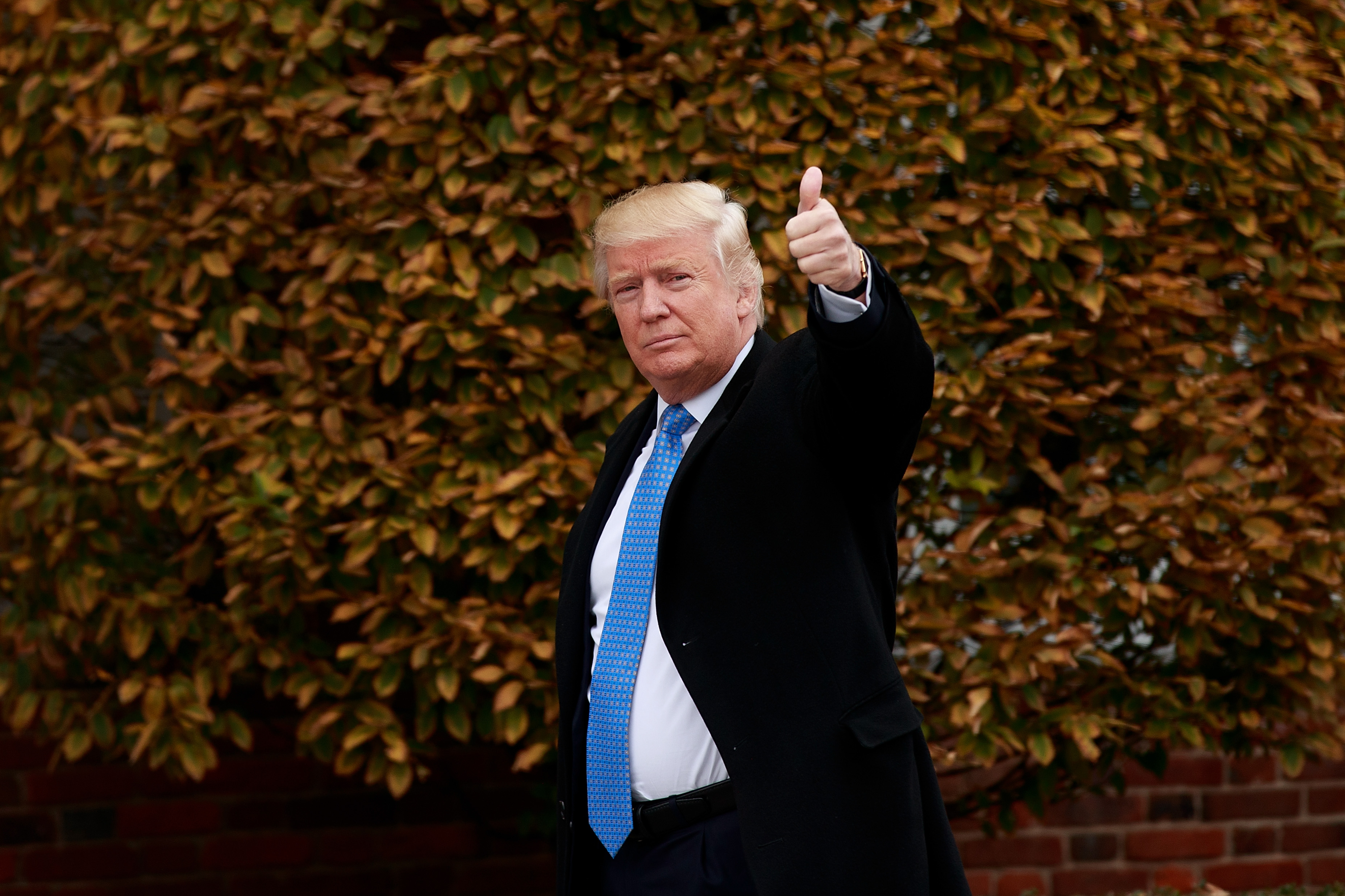 President-elect Donald Trump waves as he arrives at Trump International Golf Club for a day of meetings in Bedminster Township, NY, on Nov. 20, 2016. (Drew Angerer—Getty Images)