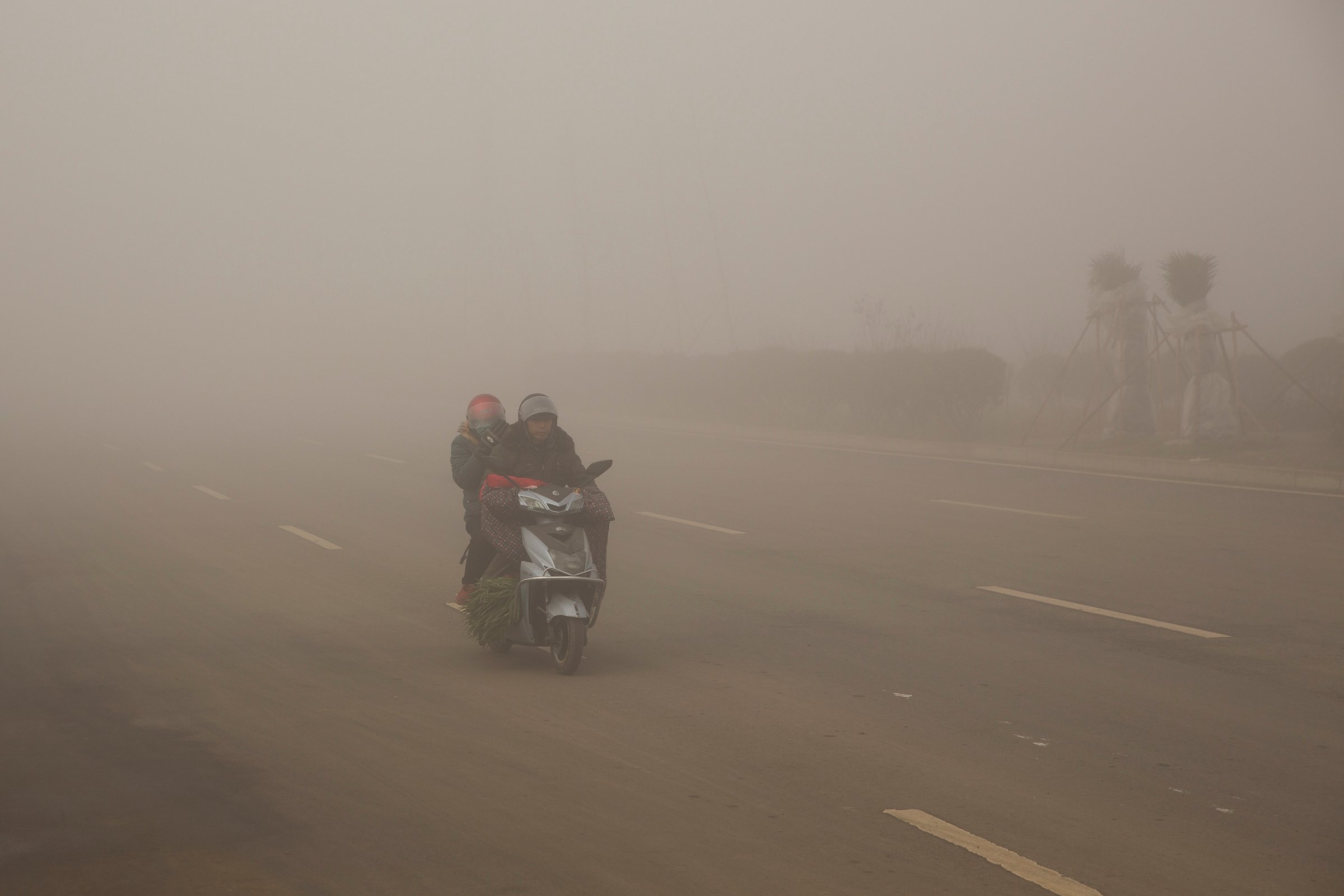 air pollution road health