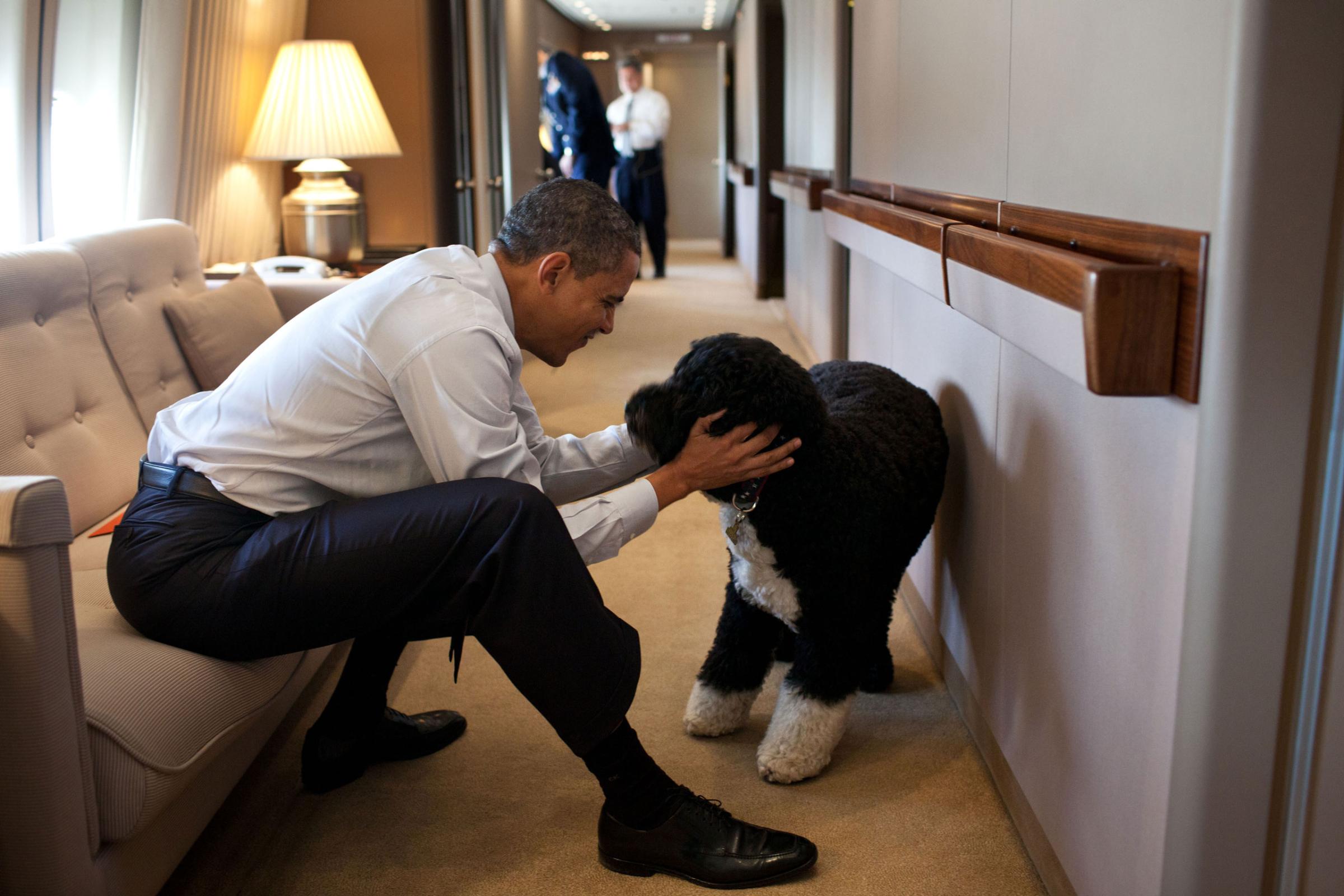 President Barack Obama plays with Bo, the Obama family dog, aboard Air Force One during a flight to Hawaii, Dec. 23, 2011.