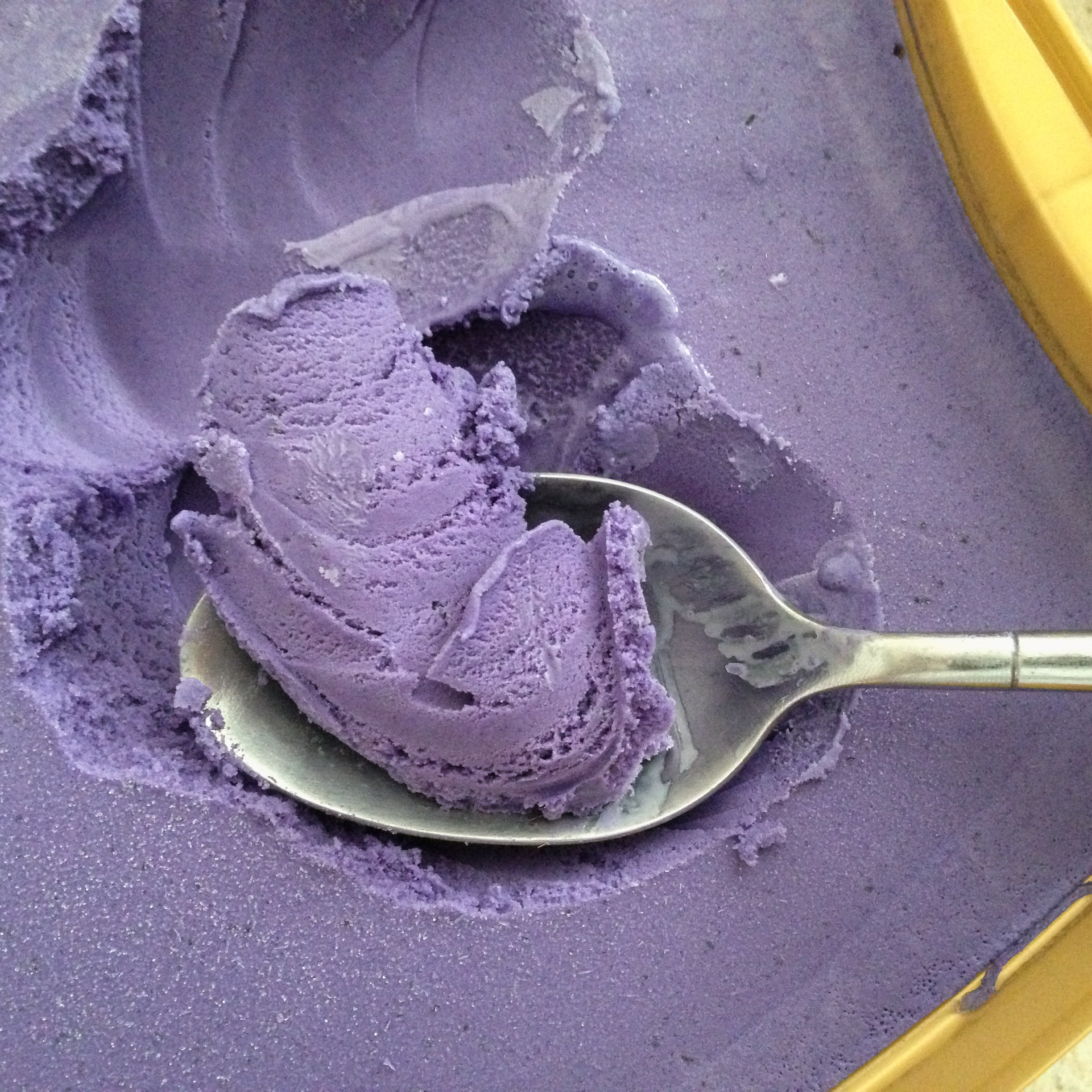 Ube : The Purple Yam