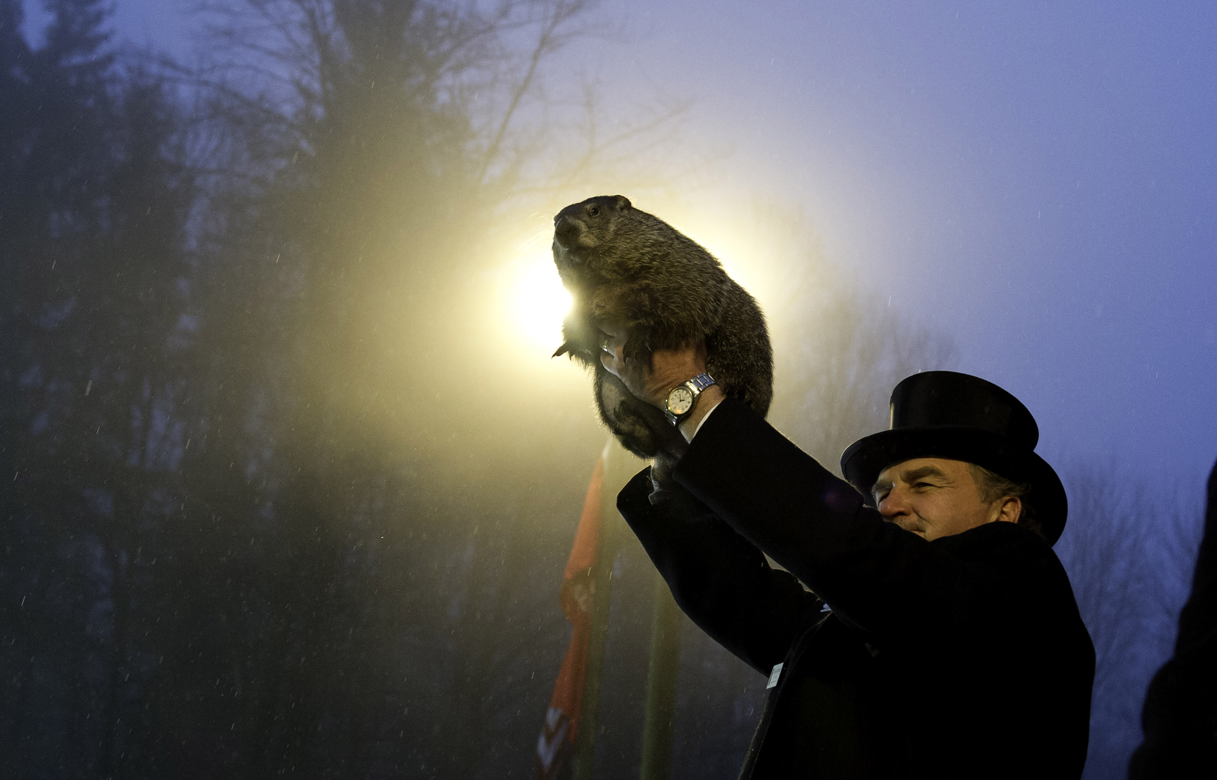 Featured image of post Phil The Groundhog Memes / Punxsutawney phil is the only true weather forecasting groundhog.