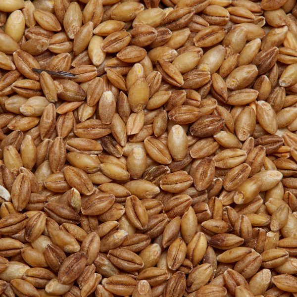 healthy and filling, health food, diet, nutrition, time.com stock, barley