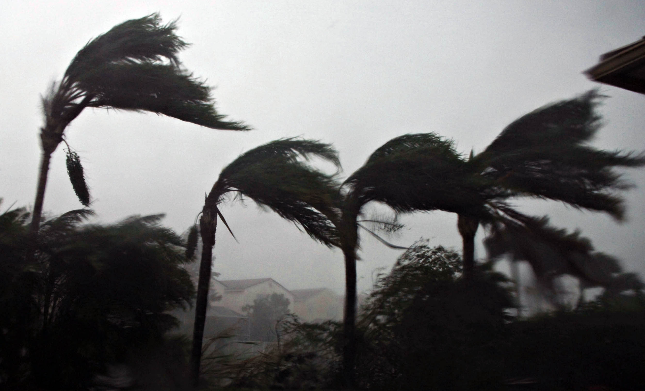 Palm trees bend in the winds of Hurricane Wilma as the storm makes landfall in Plantation, Florida on Oct. 24, 2005. Wilma was the last major hurricane to make landfall in the U.S. (Bloomberg—Bloomberg via Getty Images)