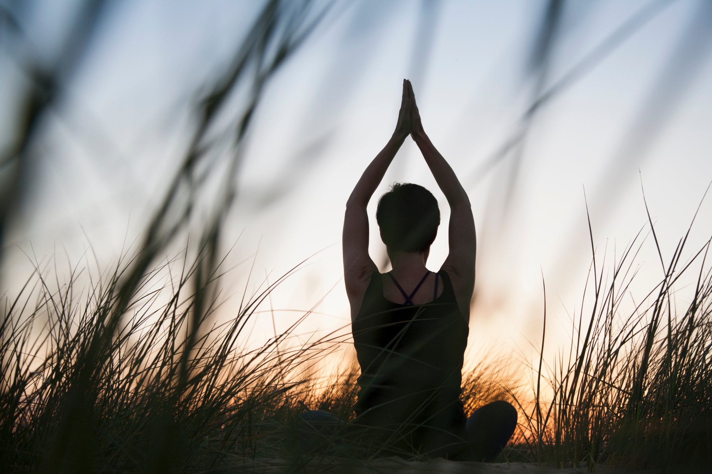 Rear view of mid adult woman practicing yoga in silhouetted long grasses at sunset