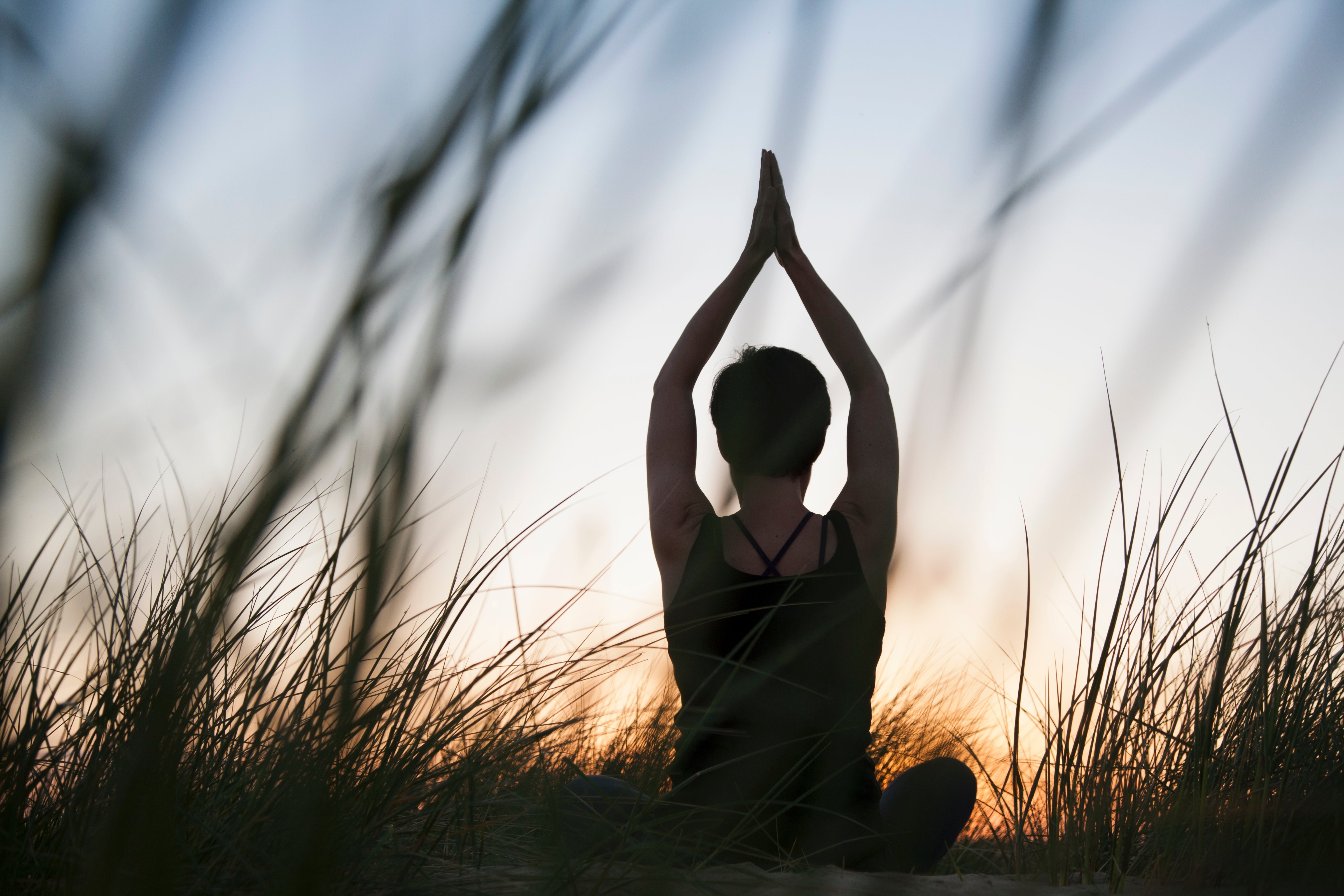 Rear view of mid adult woman practicing yoga in silhouetted long grasses at sunset