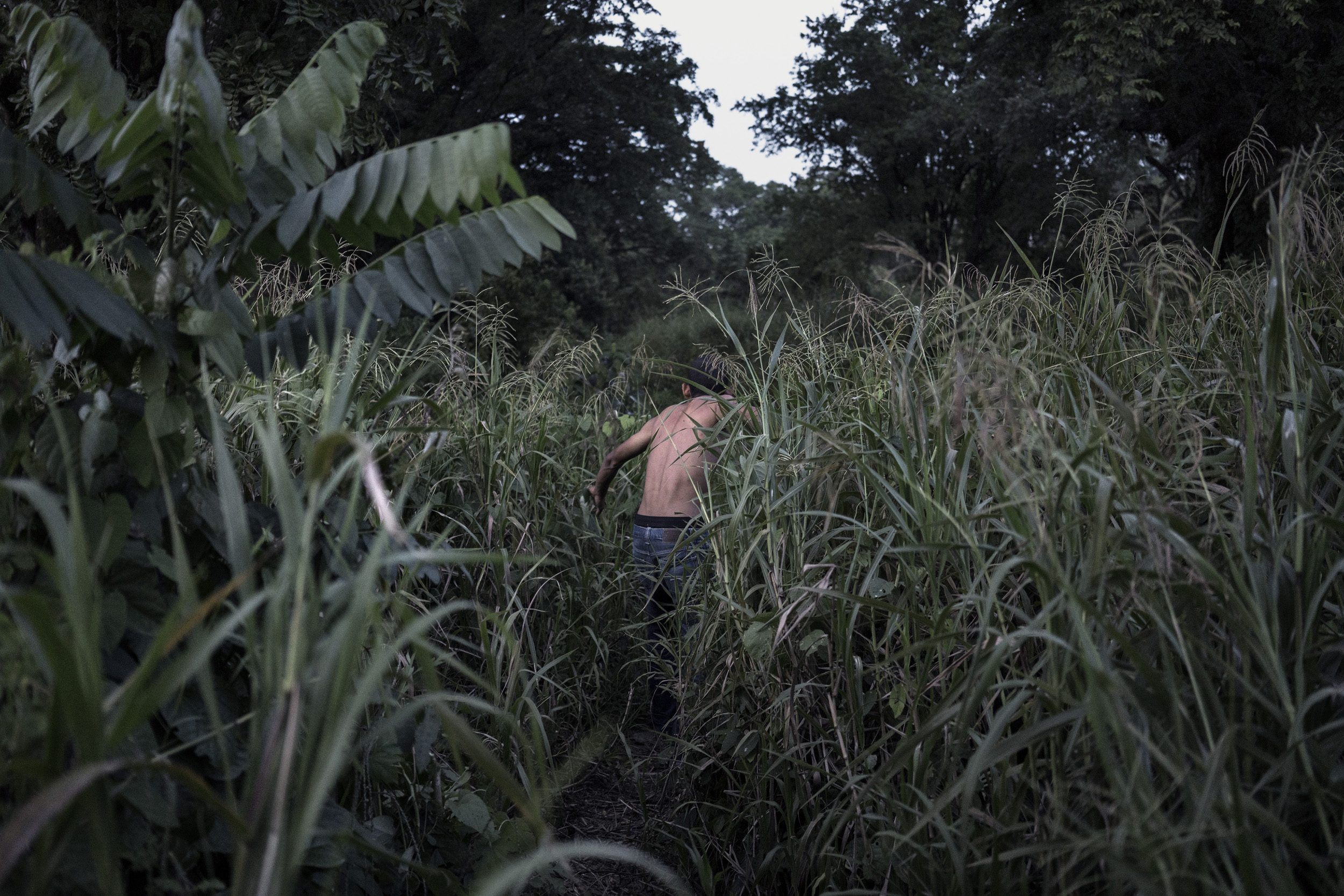 A Honduran migrant walking along a path to reach the Mexican city of Tenosique after illegally crossing the Guatemala border. This is the first leg of their long and dangerous journey north to the U.S.; according to local organizations there are approximately 20,000 migrants who, along this route - every year - are victims of murder, robbery, kidnapping and rape. Tabasco, Mexico. Sept. 29, 2016.
