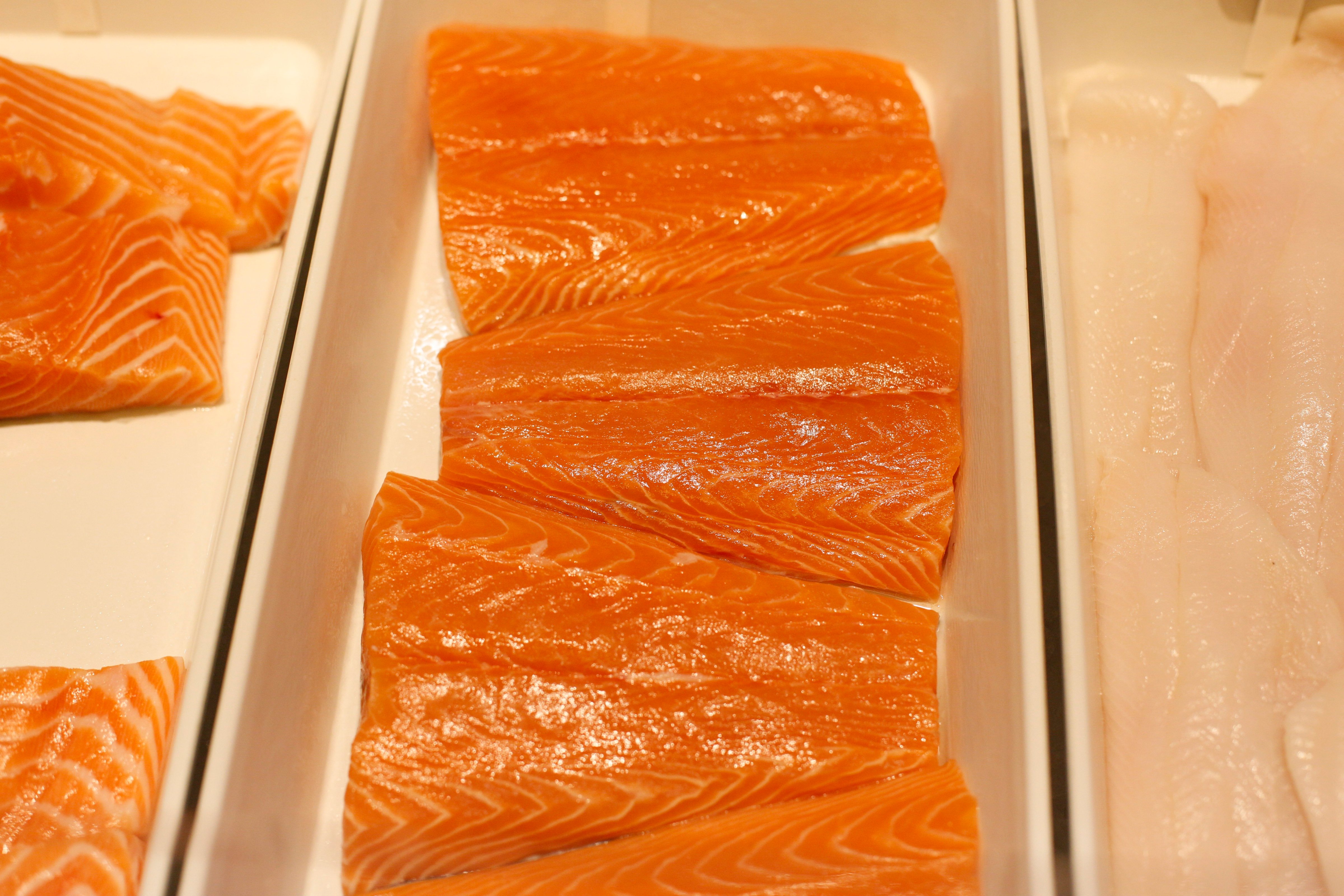 salmon prices