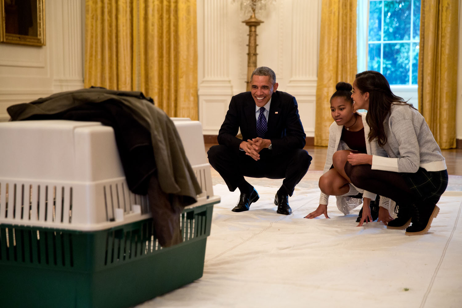 President Obama and his daughters Malia and Sasha look at  Mac  the turkey in the East Room prior to the annual National Thanksgiving Turkey pardon ceremony at the White House, on Nov. 26, 2016.