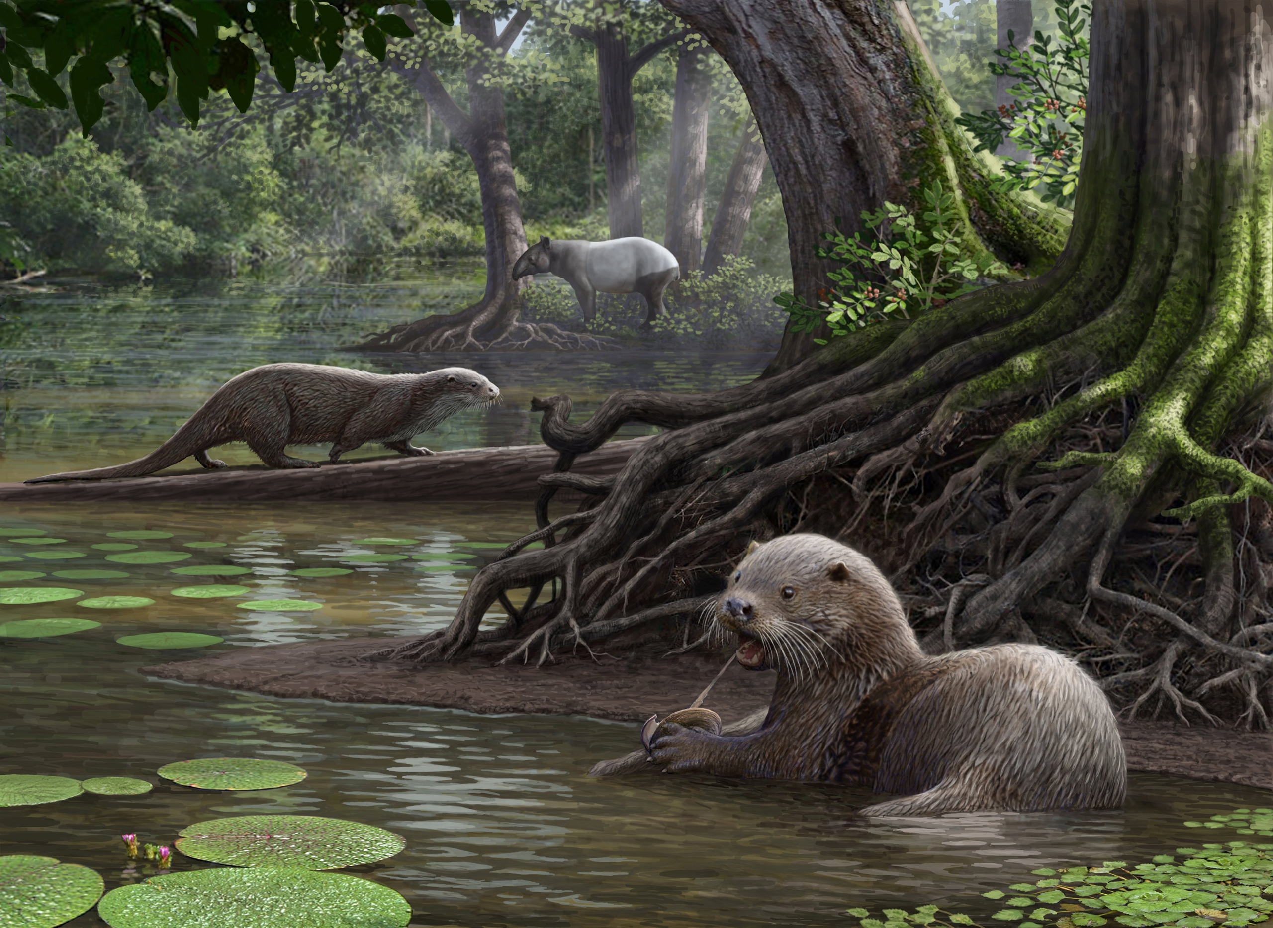 Wolf-Sized Otters Lived in China 6 Million Years Ago | Time
